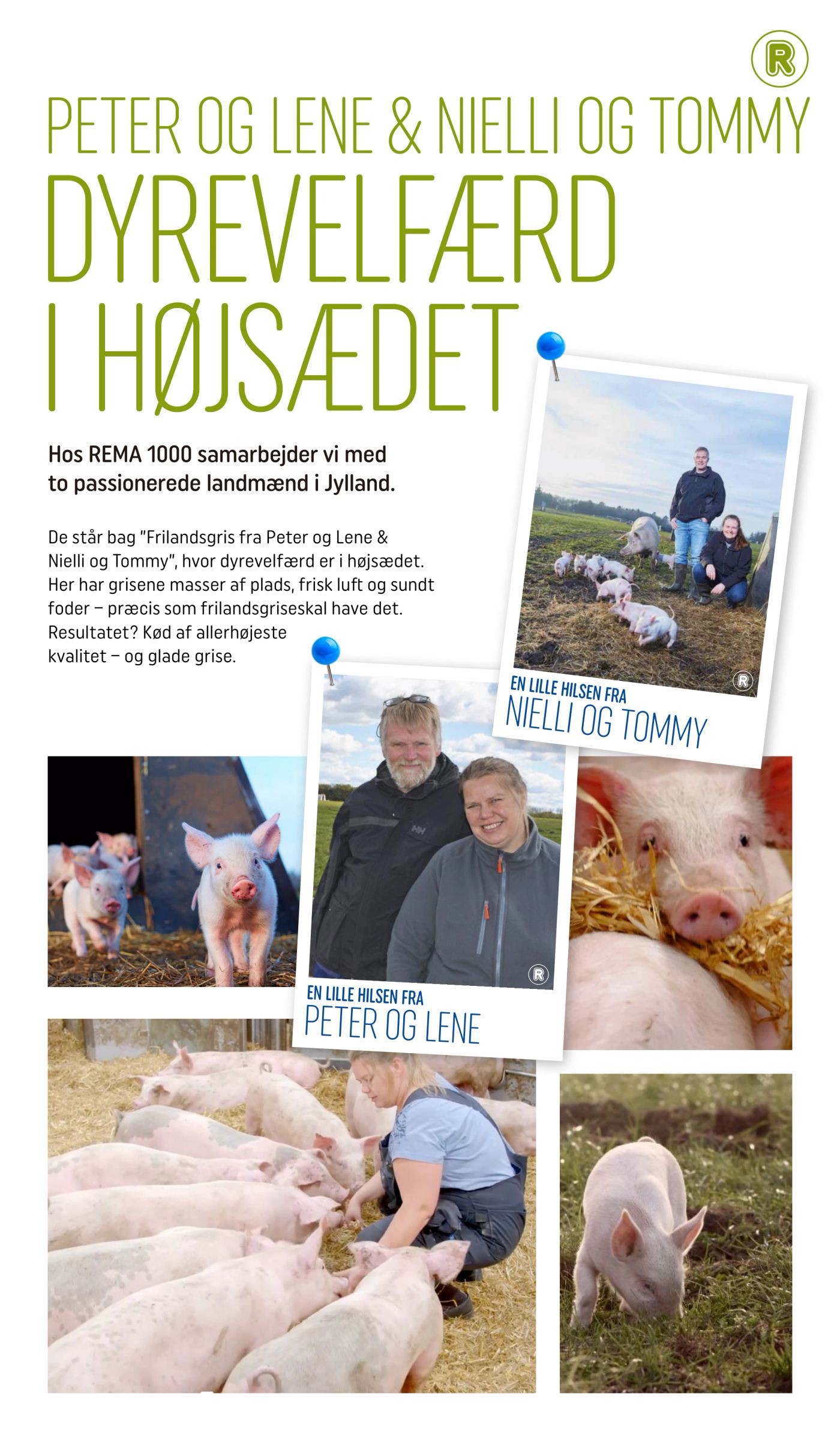 rema-1000 - Rema 1000 - Meget mere dansk & lokalt tilbudsavis gyldig fra 23.06. til 20.08. - page: 13