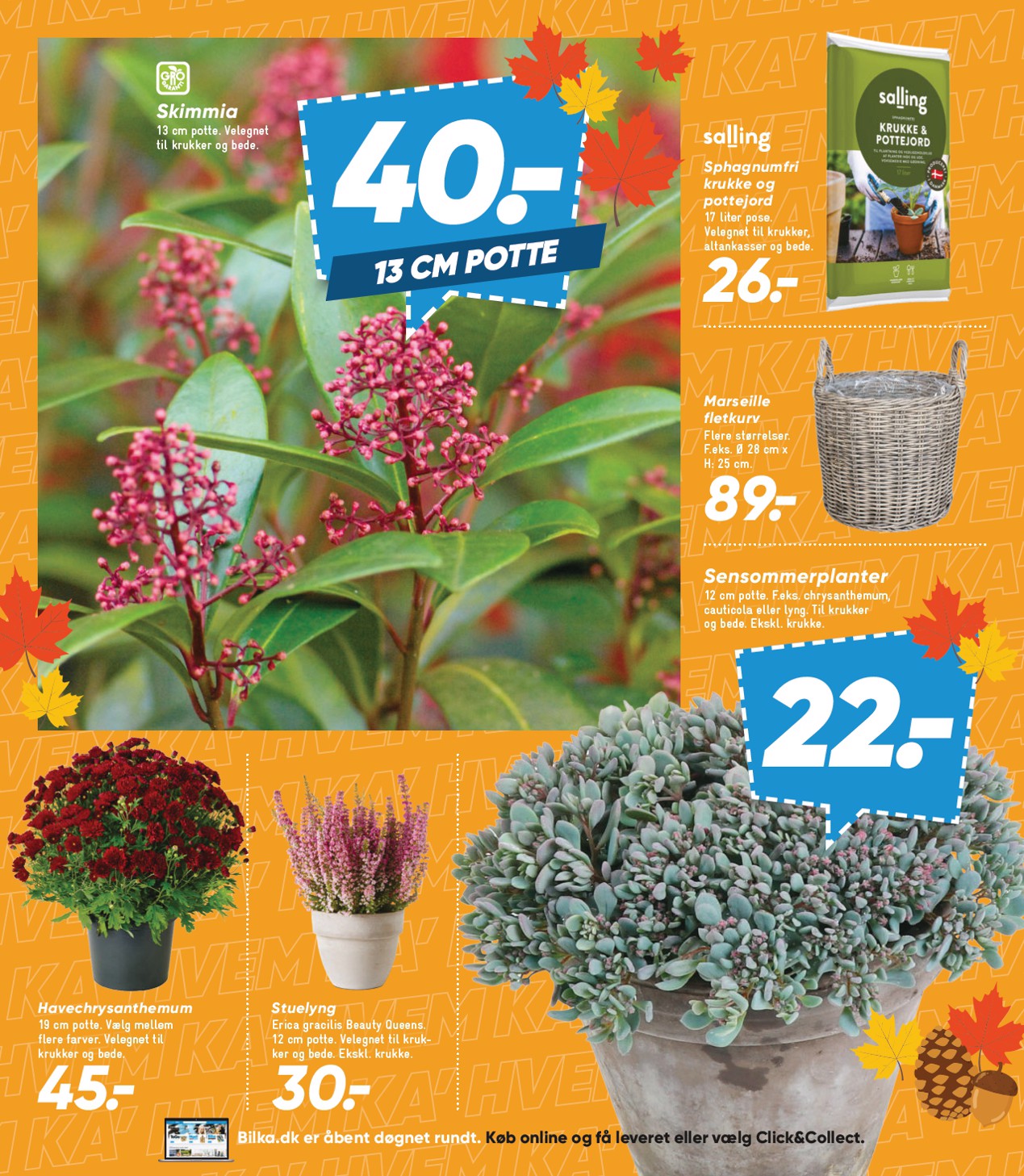 bilka - Bilka - Nonfood tilbudsavis for næste uge fra fredag, 11.09.2026 til torsdag, 17.09.2026 - page: 30