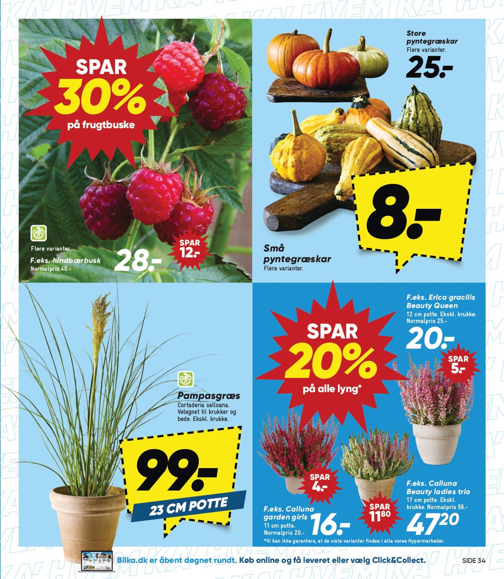 bilka - Nyeste Bilka-tilbudsavis gyldig fra 13.09. - 19.09. - page: 33