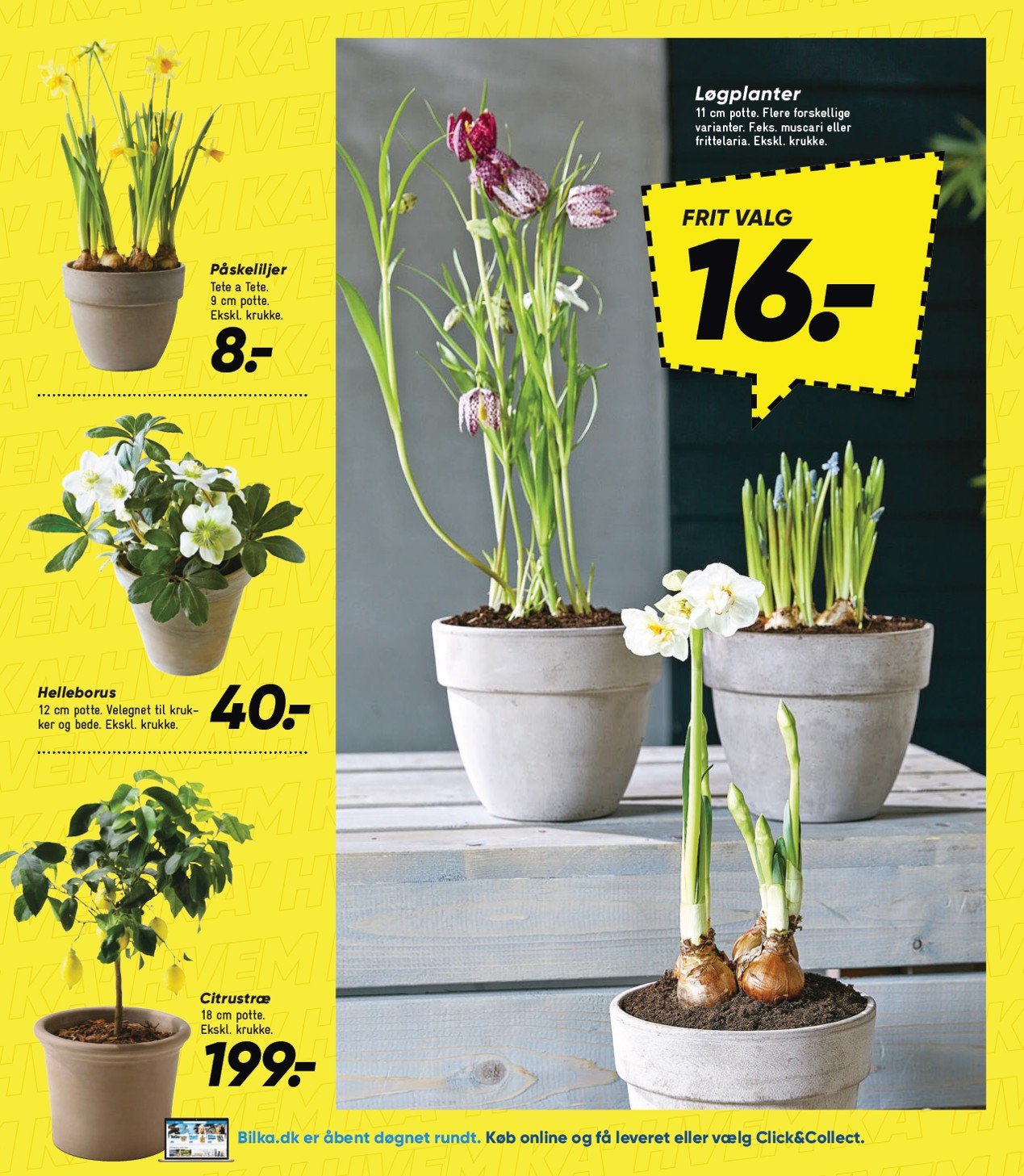 bilka - Bilka tilbudsavis gyldig fra 10.01. - 16.01. - page: 31