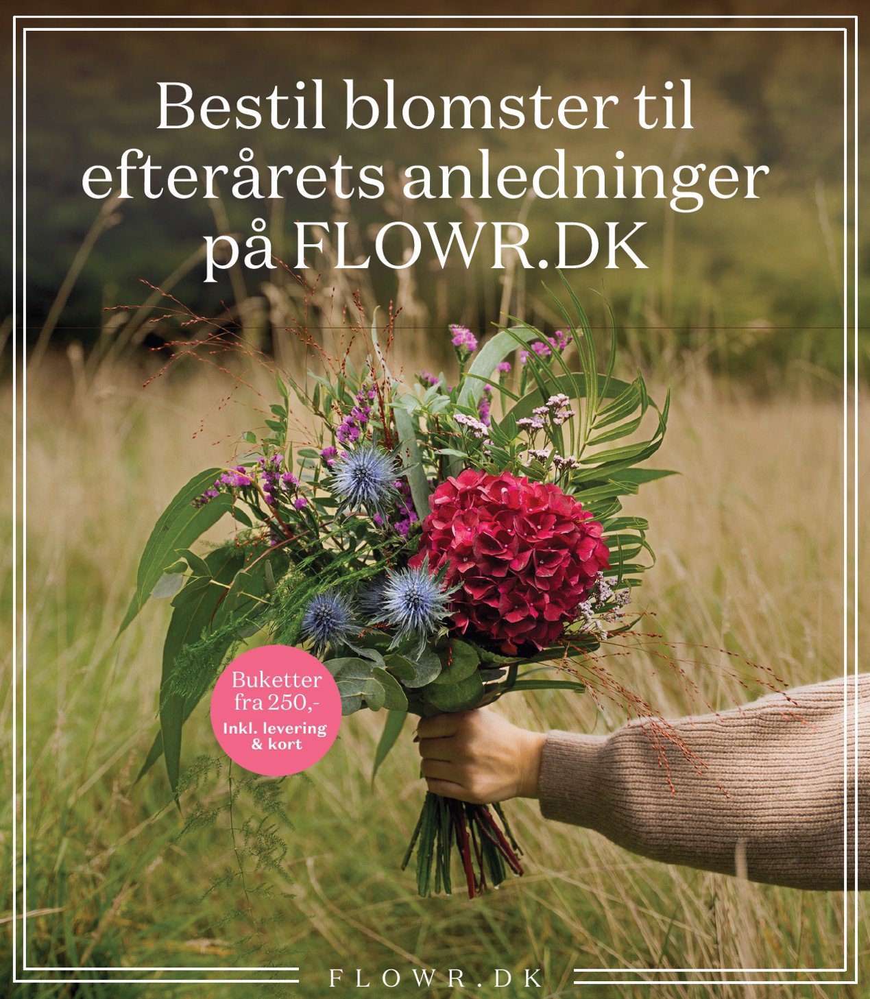 bilka - Bilka - Nonfood tilbudsavis gyldig fra 19.09. til 25.09. - page: 29