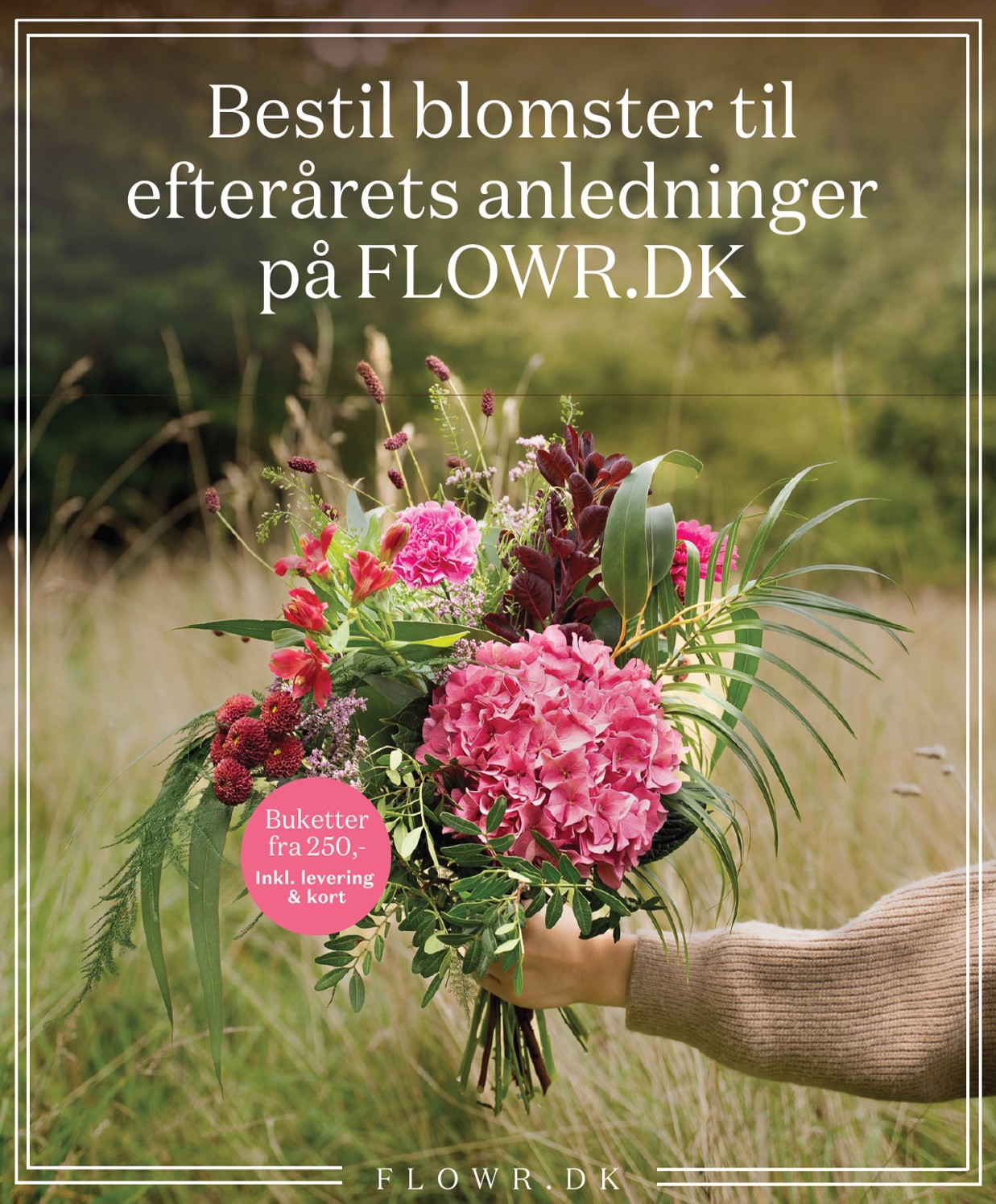 bilka - Bilka - Nonfood tilbudsavis gyldig fra 31.10. til 06.11. - page: 33 bilka - Bilka - Nonfood tilbudsavis gyldig fra 31.10. til 06.11. - page: 33