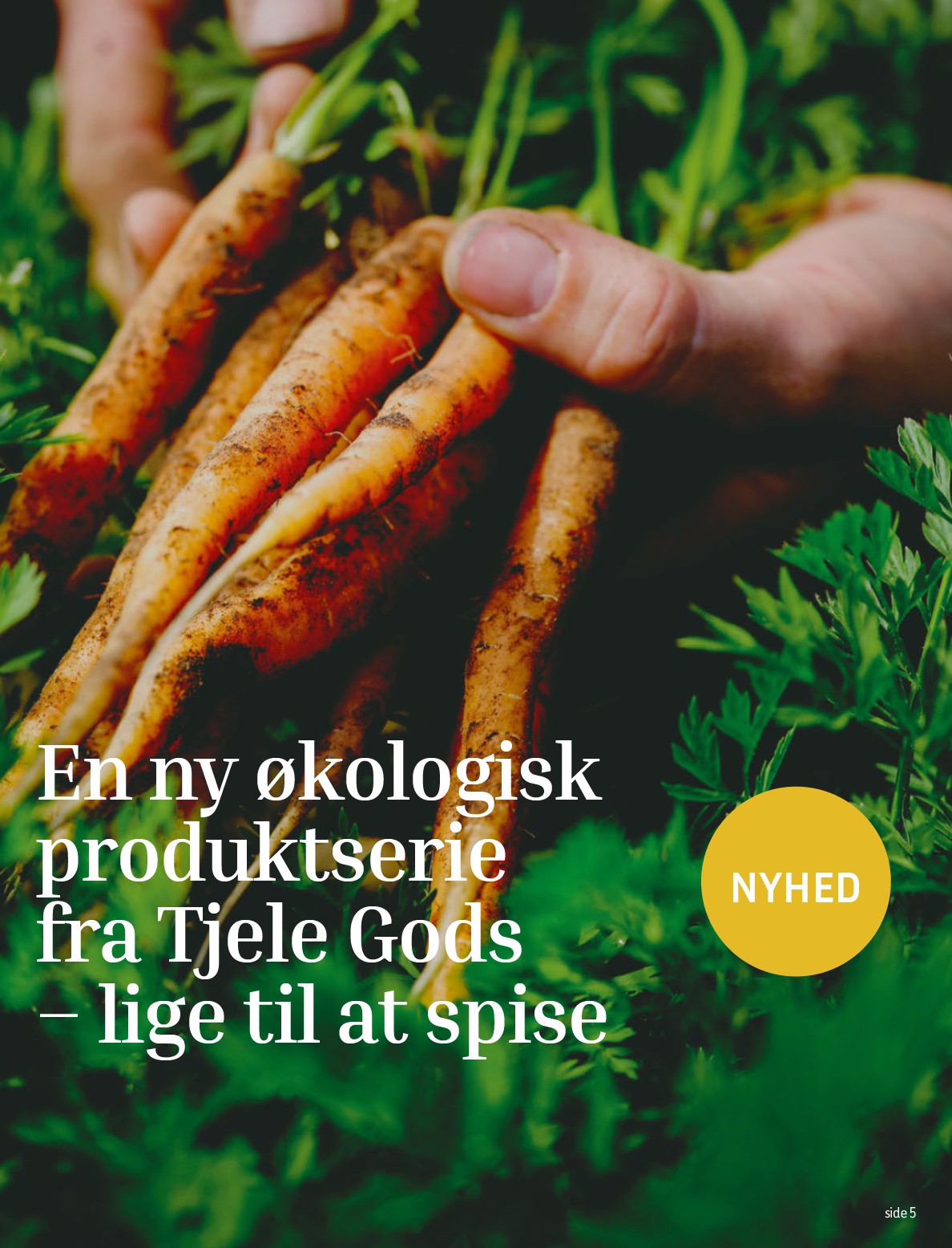 fotex - Føtex tilbudsavis gyldig fra 29.08. til 11.09. - page: 5 fotex - Føtex tilbudsavis gyldig fra 29.08. til 11.09. - page: 5