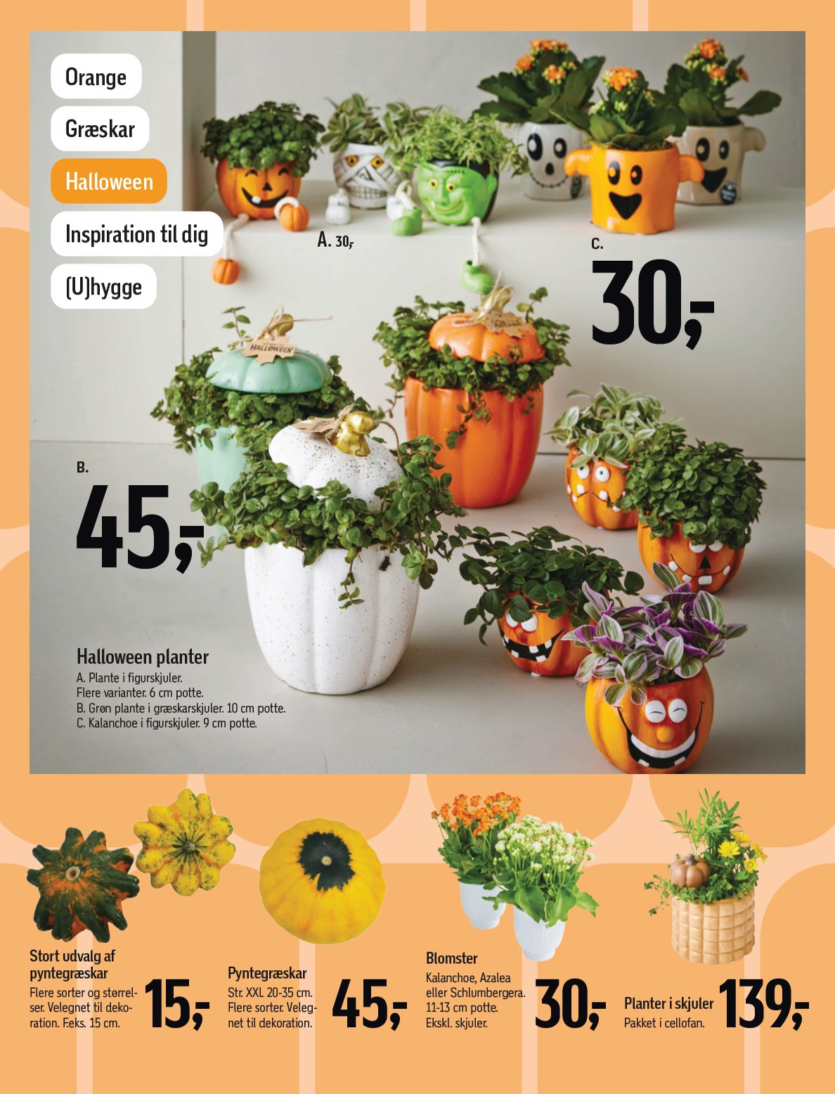 fotex - Føtex tilbudsavis gyldig fra 10.10. til 16.10. - page: 31