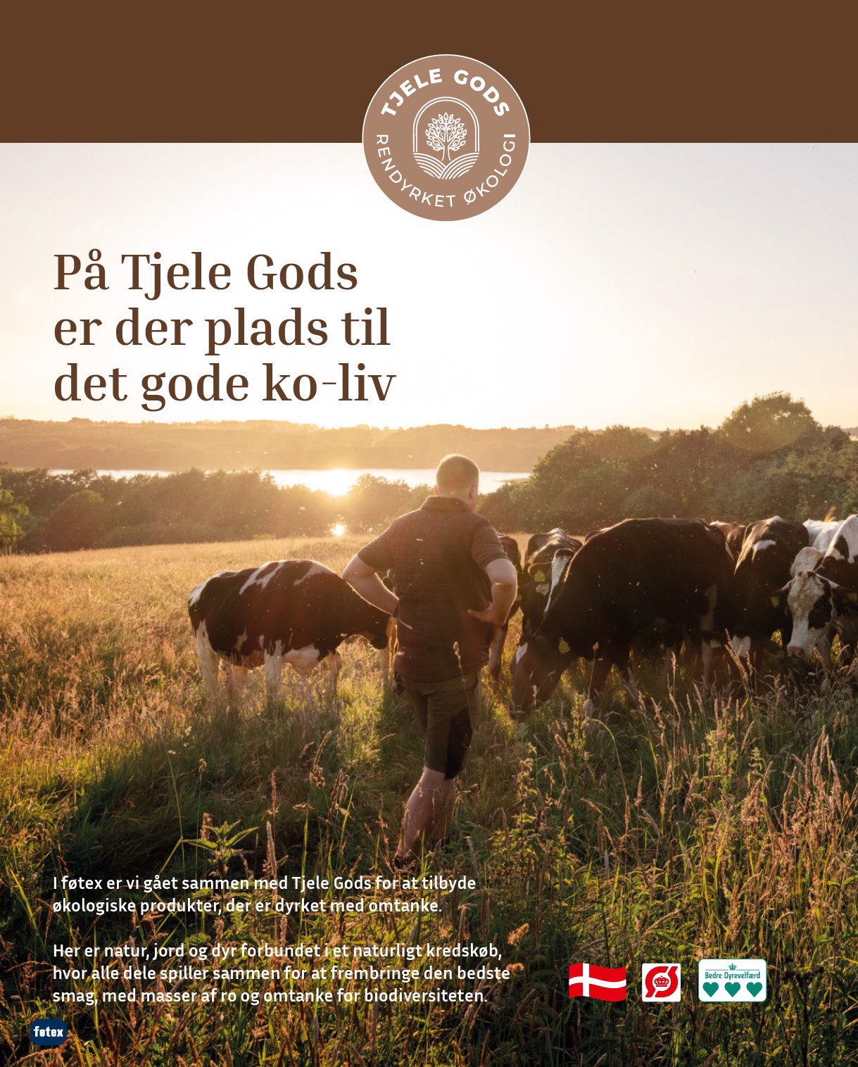 fotex - Føtex tilbudsavis gyldig fra 17.10. til 30.10. - page: 16