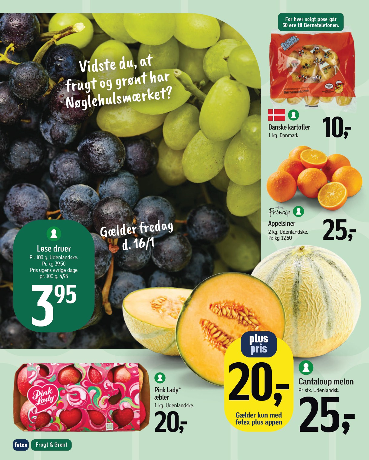 fotex - Føtex tilbudsavis gyldig fra 16.01. til 29.01. - page: 15