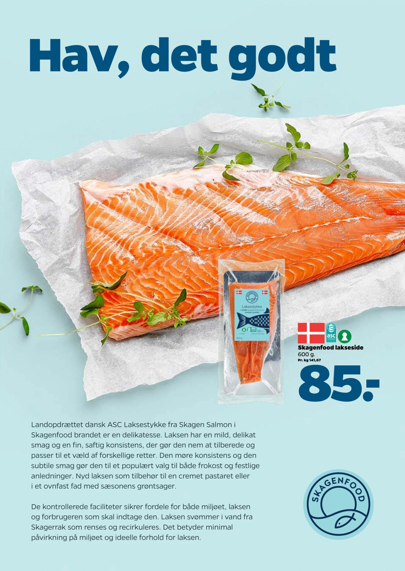 netto - Netto tilbudsavis for næste uge fra lørdag, 22.08.2026 til fredag, 28.08.2026 - page: 13