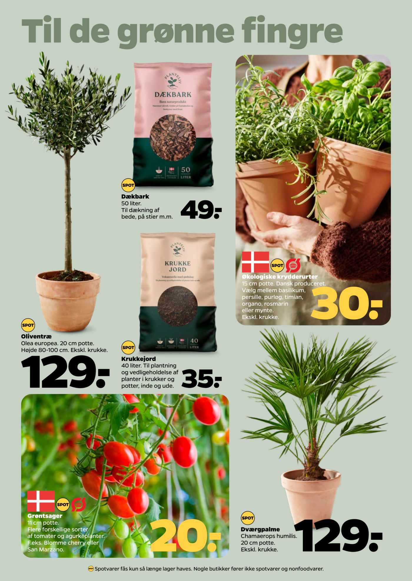 netto - Netto tilbudsavis gyldig fra 26.04. - 02.05. - page: 41 netto - Netto tilbudsavis gyldig fra 26.04. - 02.05. - page: 41