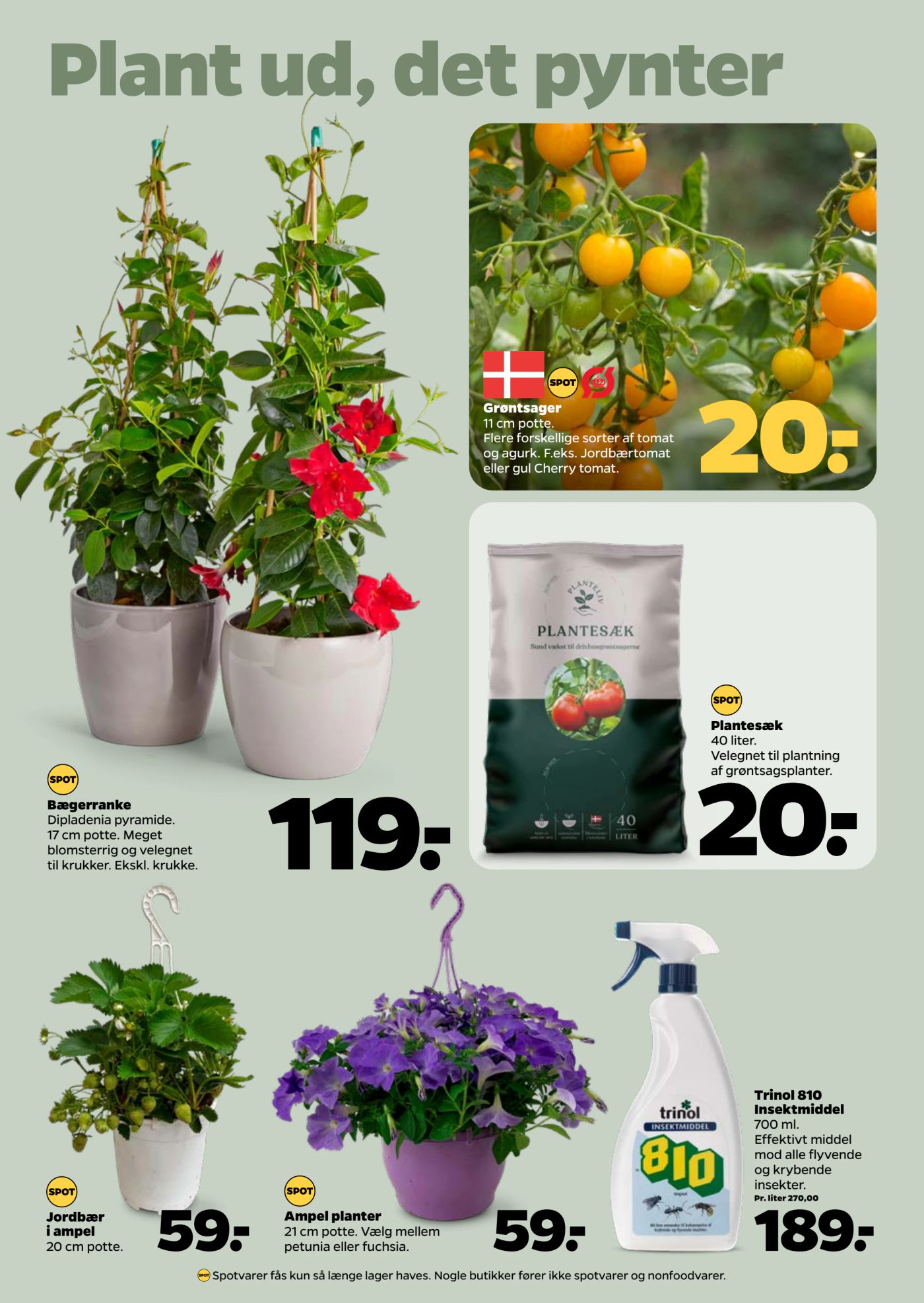 netto - Netto tilbudsavis gyldig fra 03.05. - 09.05. - page: 34 netto - Netto tilbudsavis gyldig fra 03.05. - 09.05. - page: 34