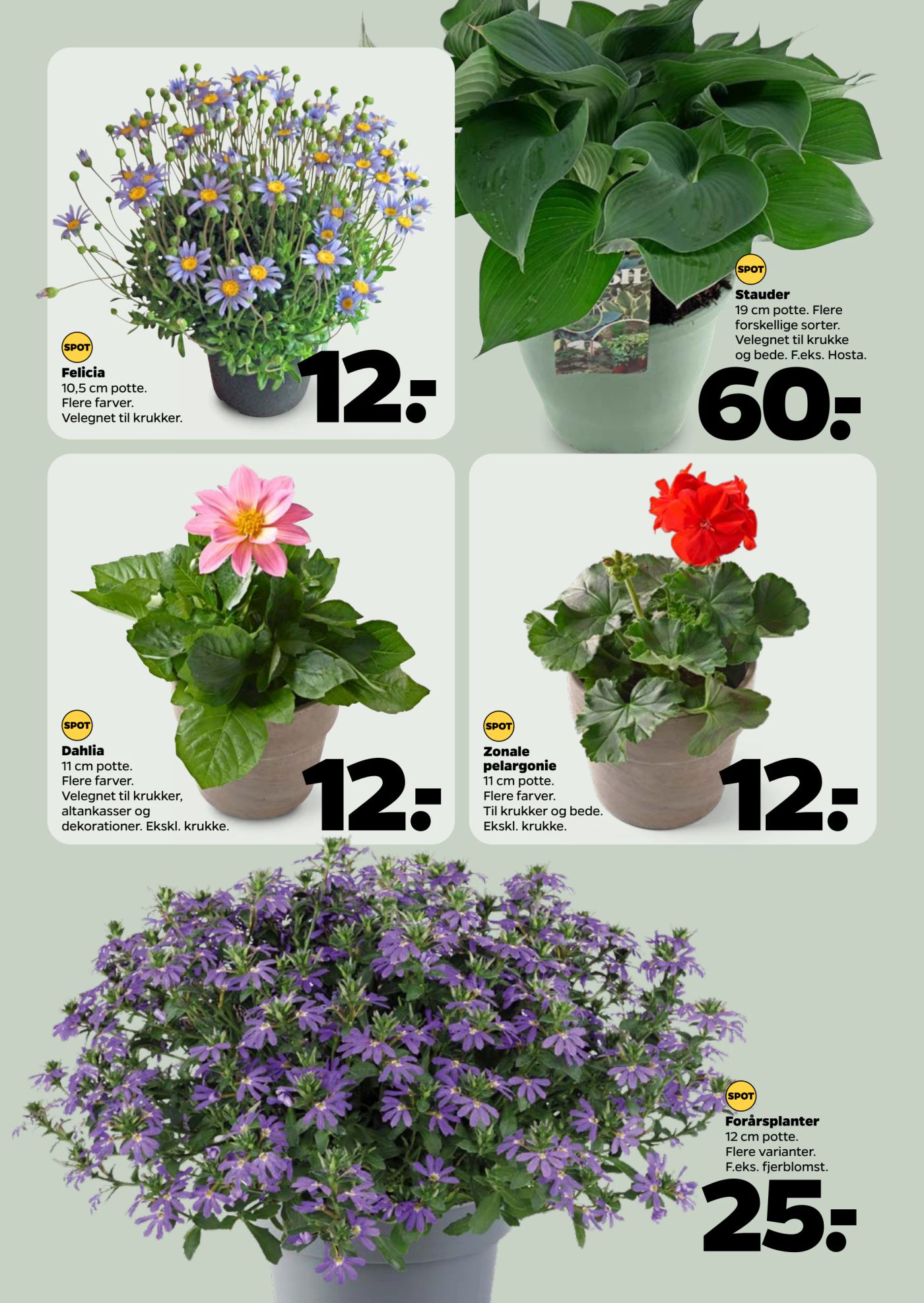 netto - Netto tilbudsavis gyldig fra 03.05. - 09.05. - page: 35 netto - Netto tilbudsavis gyldig fra 03.05. - 09.05. - page: 35