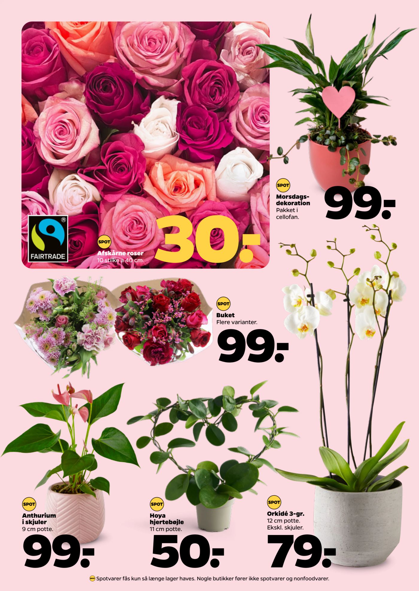 netto - Netto tilbudsavis gyldig fra 10.05. - 16.05. - page: 31 netto - Netto tilbudsavis gyldig fra 10.05. - 16.05. - page: 31
