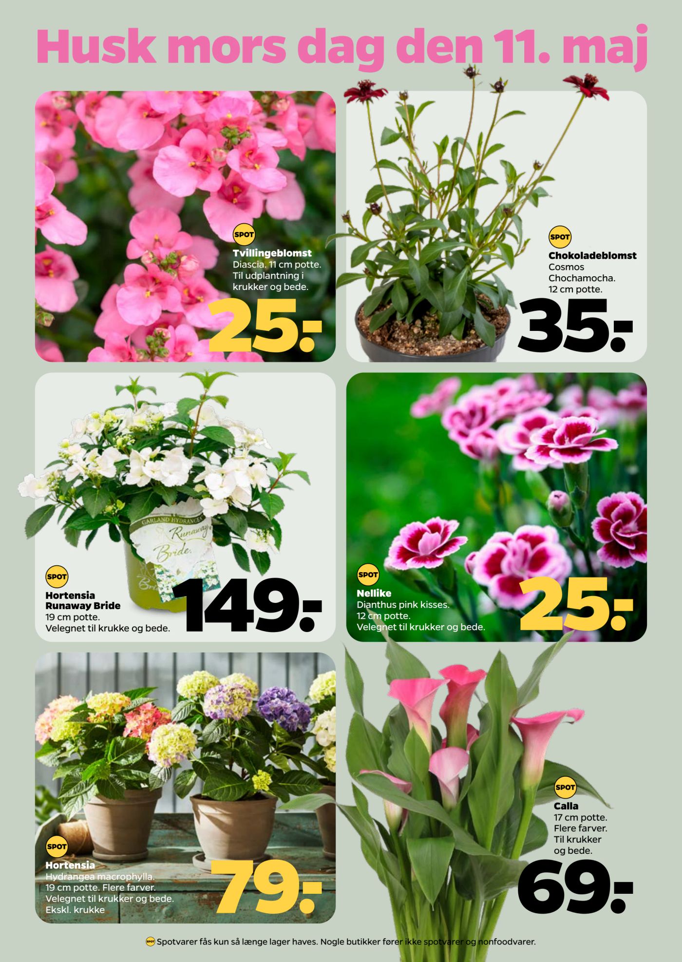 netto - Netto tilbudsavis gyldig fra 10.05. - 16.05. - page: 30 netto - Netto tilbudsavis gyldig fra 10.05. - 16.05. - page: 30