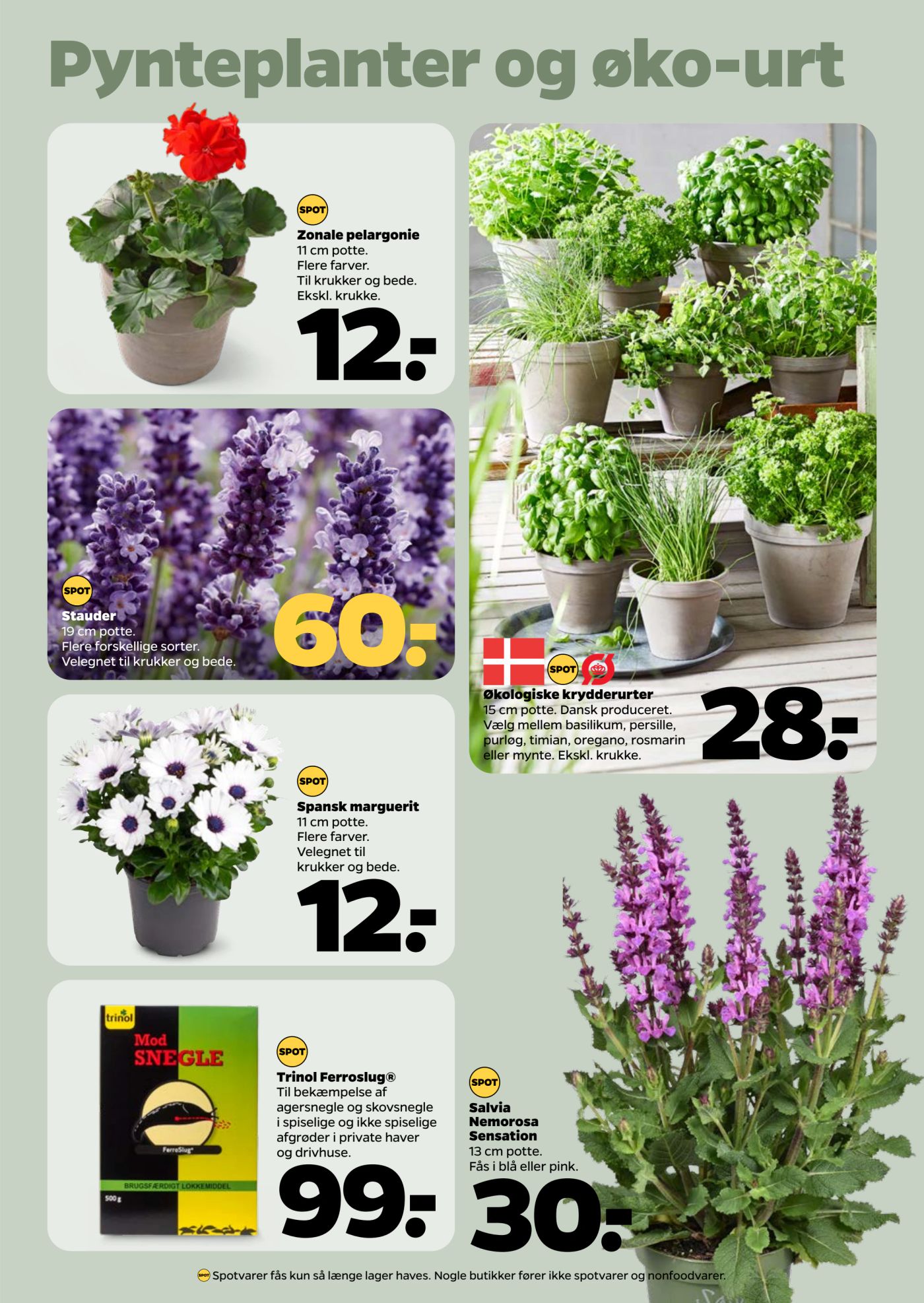 netto - Netto tilbudsavis gyldig fra 24.05. - 30.05. - page: 30