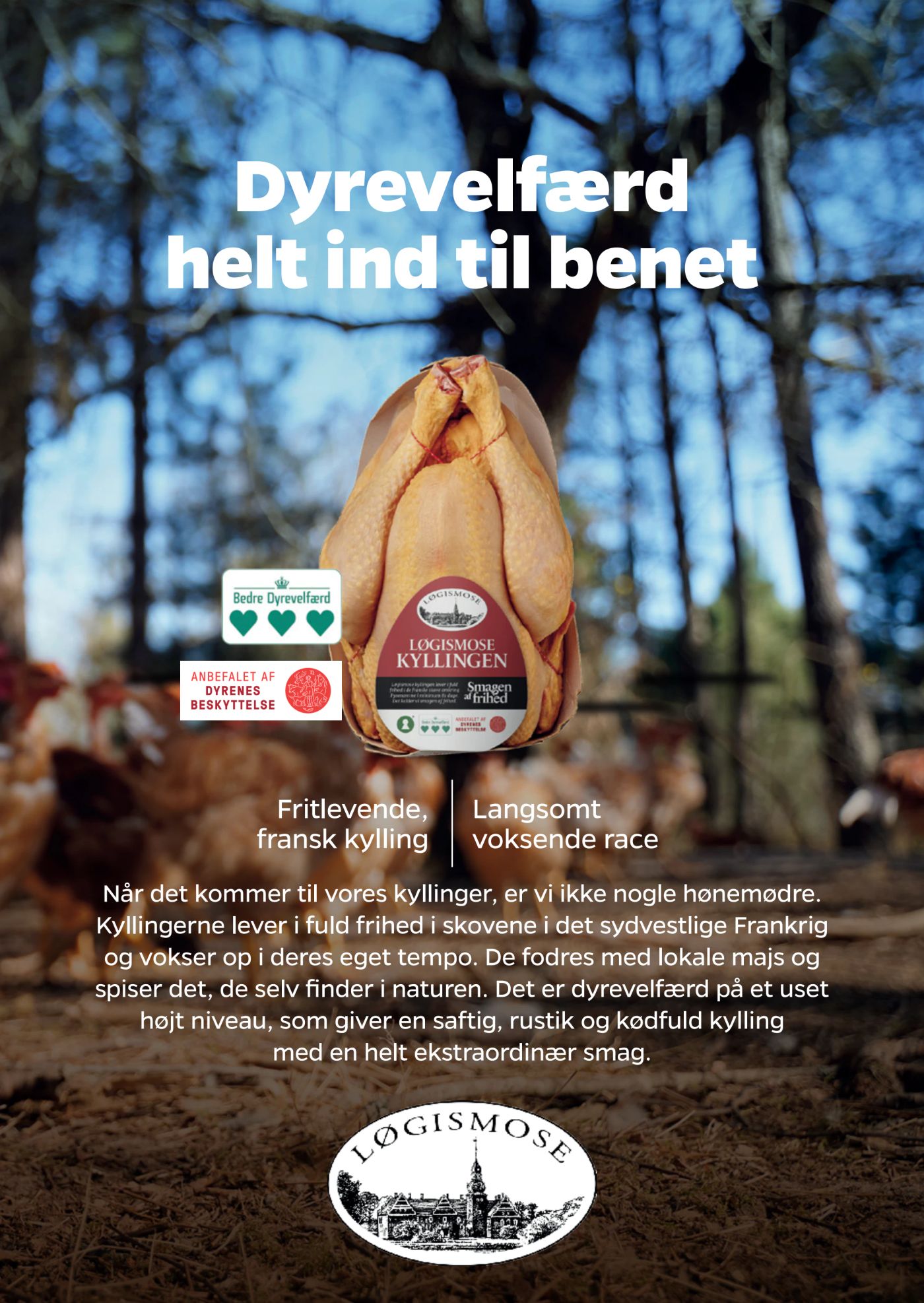 netto - Netto tilbudsavis gyldig fra 31.05. - 06.06. - page: 17 netto - Netto tilbudsavis gyldig fra 31.05. - 06.06. - page: 17