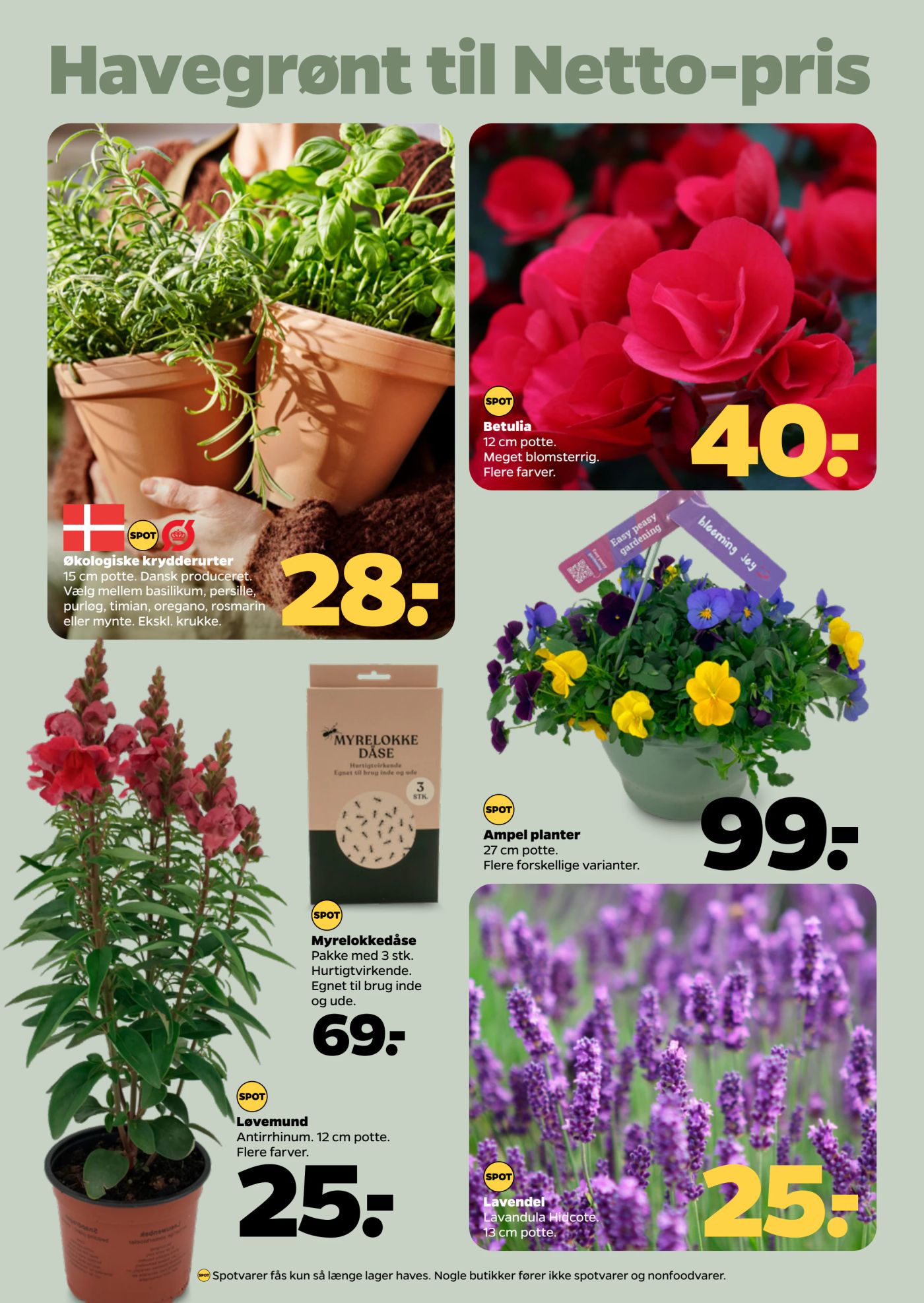 netto - Netto tilbudsavis gyldig fra 31.05. - 06.06. - page: 29 netto - Netto tilbudsavis gyldig fra 31.05. - 06.06. - page: 29