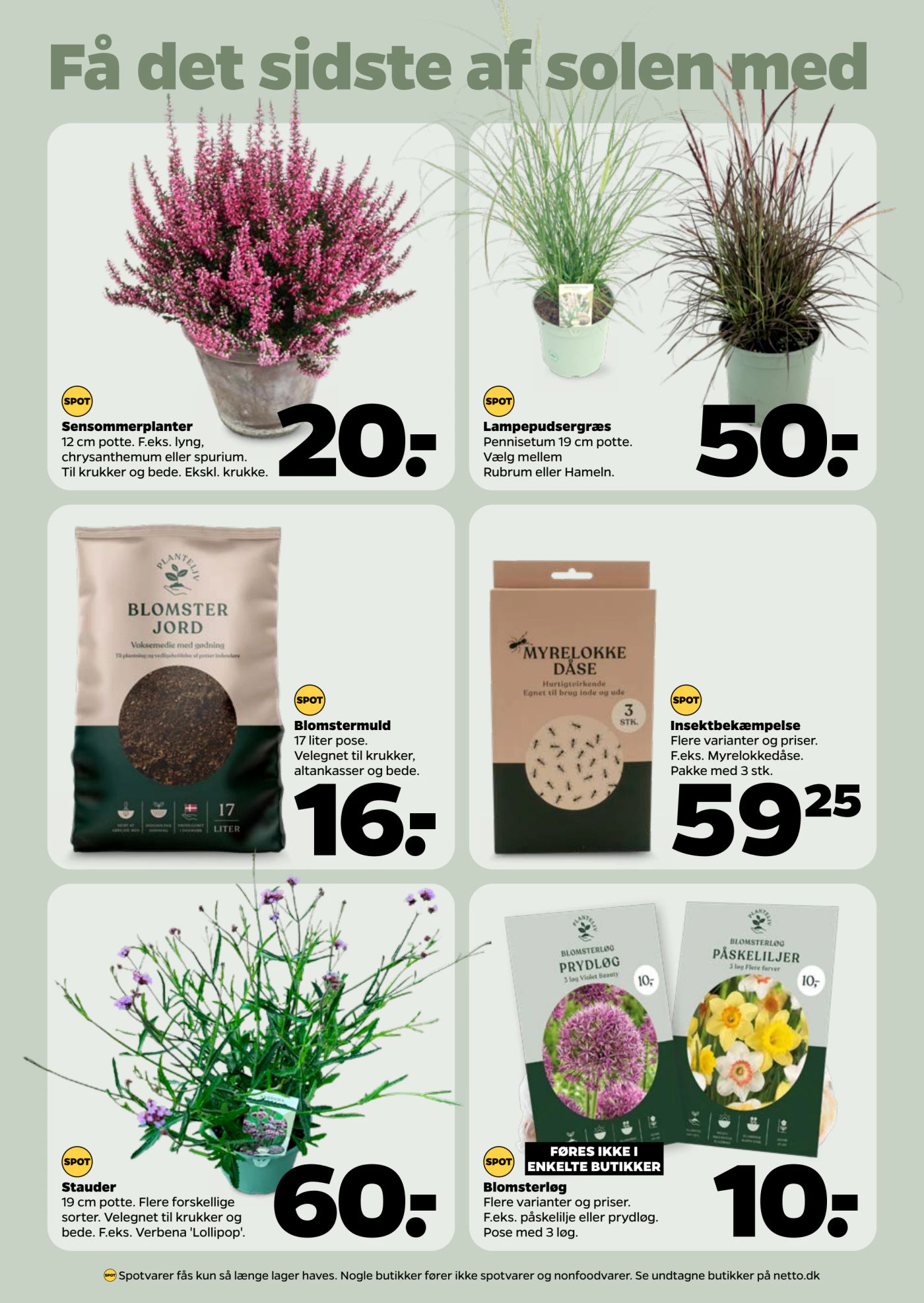 netto - Netto tilbudsavis gyldig fra 16.08. til 22.08. - page: 24