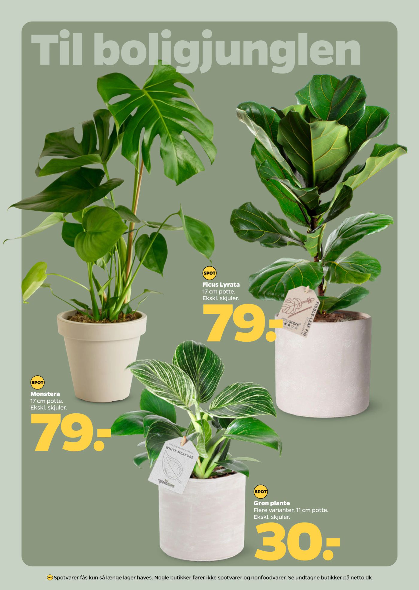 netto - Netto tilbudsavis gyldig fra 17.01. til 23.01. - page: 25