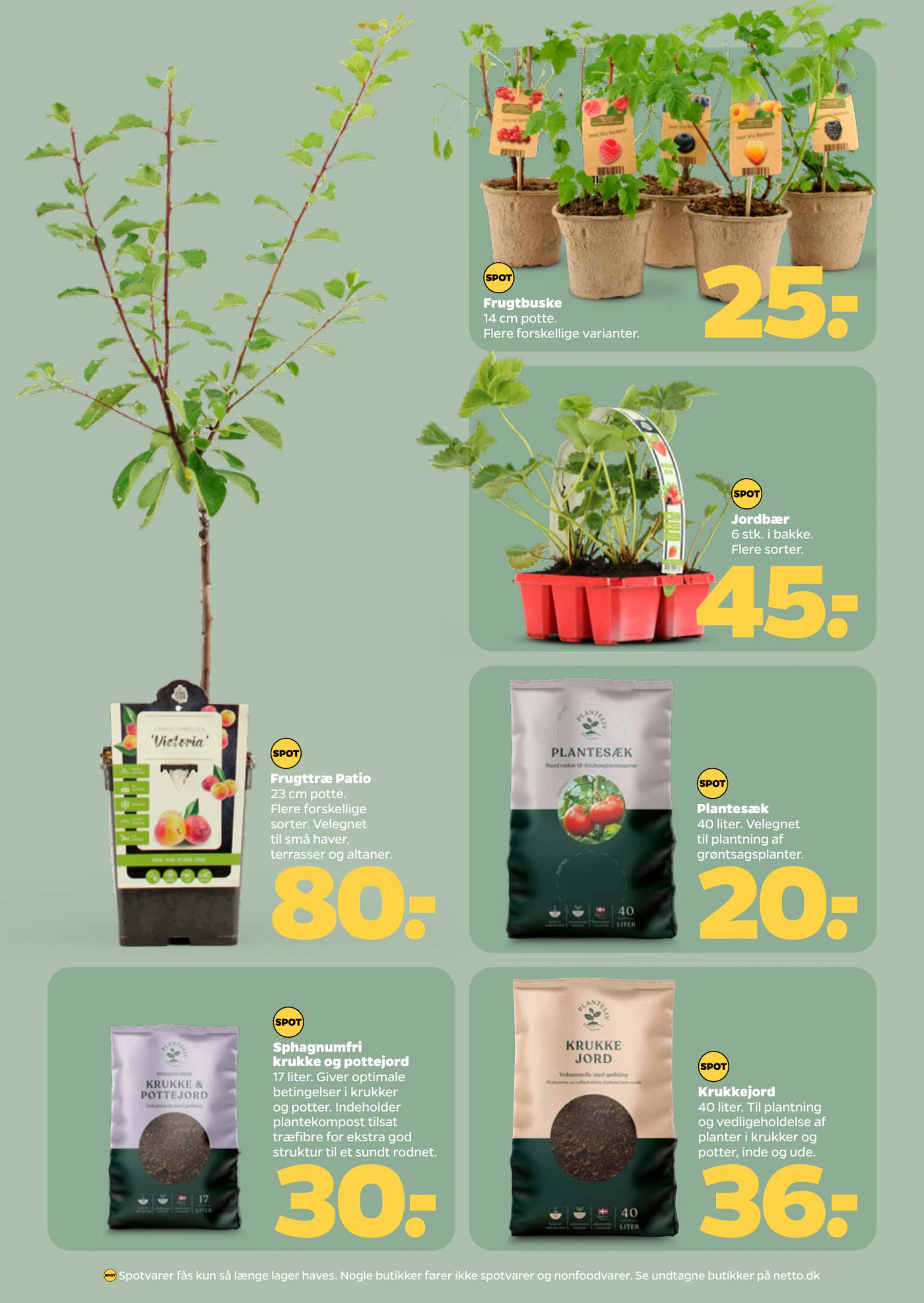 netto - Netto tilbudsavis gyldig fra 21.03.2026 til 27.03.2026 - page: 31