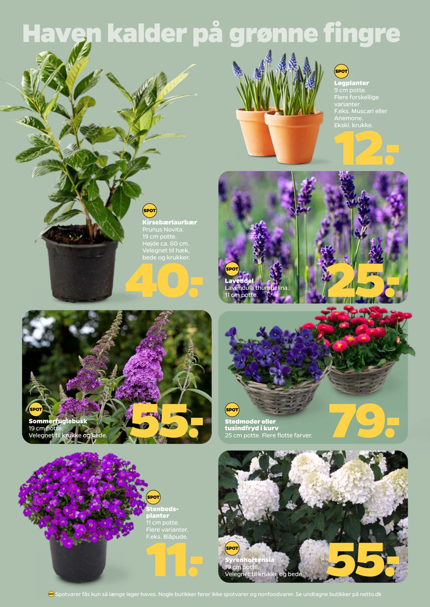 netto - Netto tilbudsavis gyldig fra 21.03.2026 til 27.03.2026 - page: 30