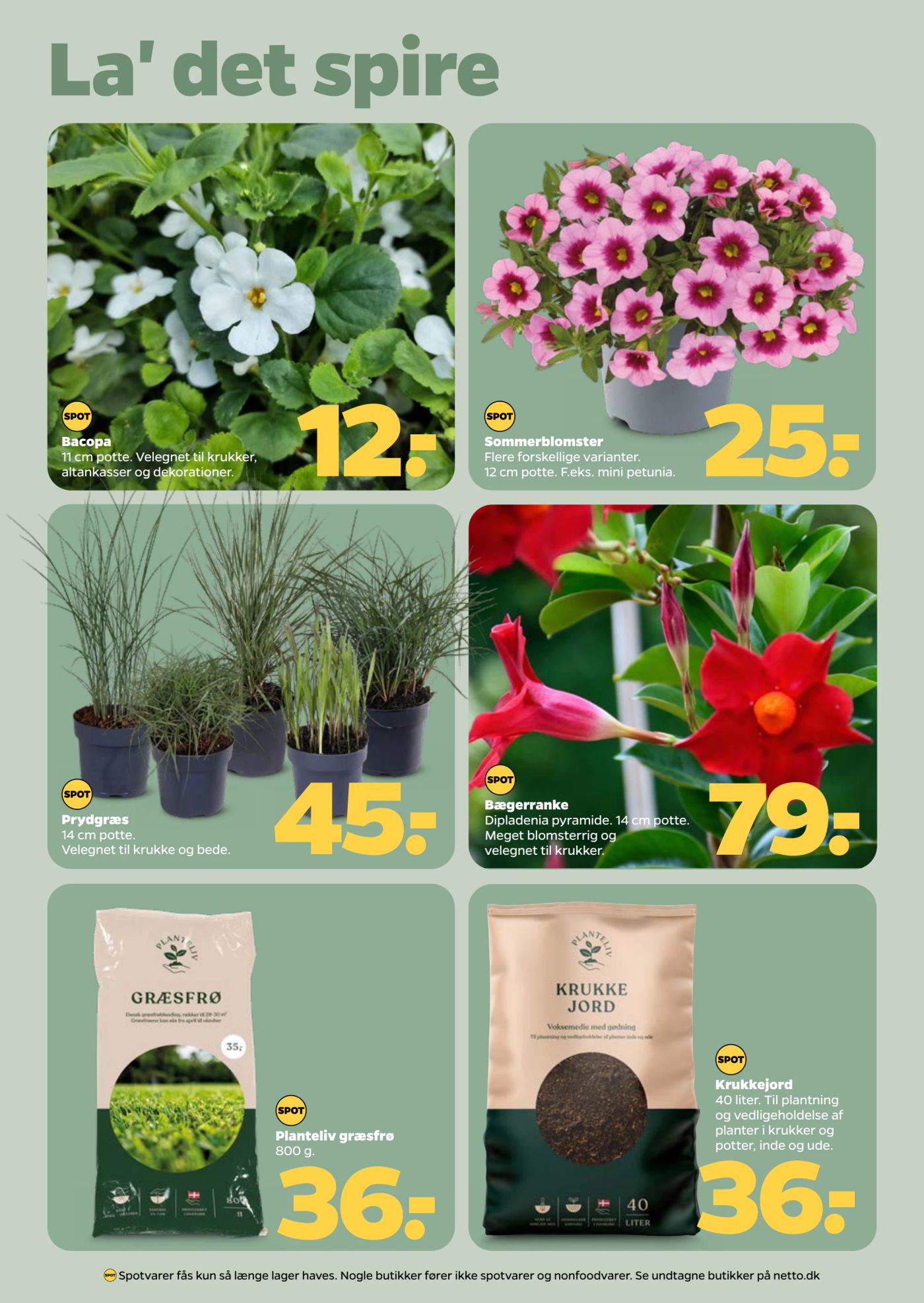 netto - Netto flyer til næste uge fra lørdag 18.04.2026 til fredag 24.04.2026 - page: 25