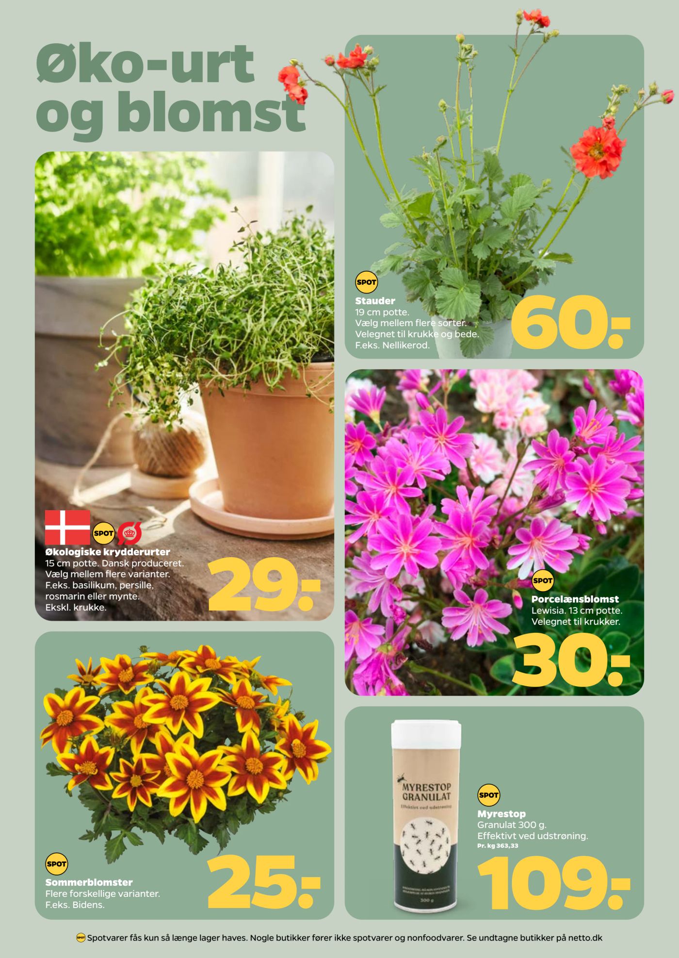 netto - Netto flyer til næste uge fra lørdag 18.04.2026 til fredag 24.04.2026 - page: 26