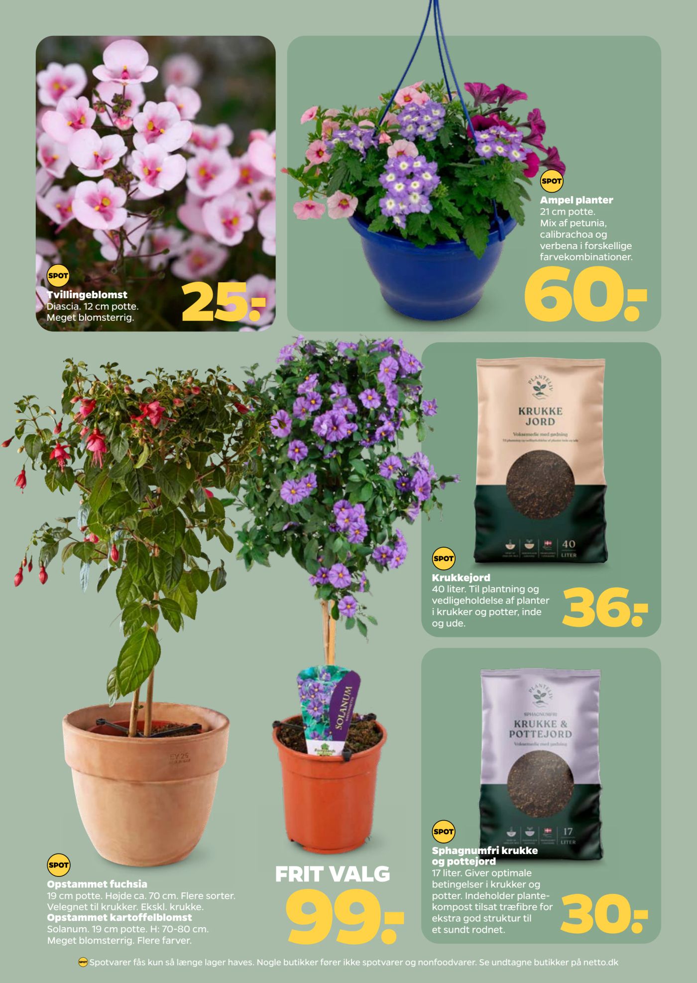 netto - Netto flyer til næste uge fra lørdag 02.05.2026 til fredag 08.05.2026 - page: 33