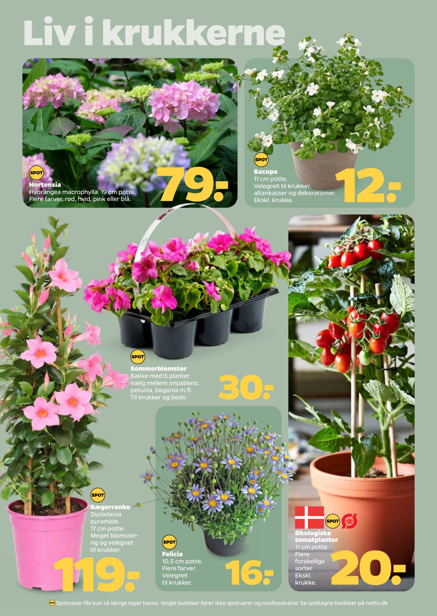 netto - Netto flyer til næste uge fra lørdag 02.05.2026 til fredag 08.05.2026 - page: 32