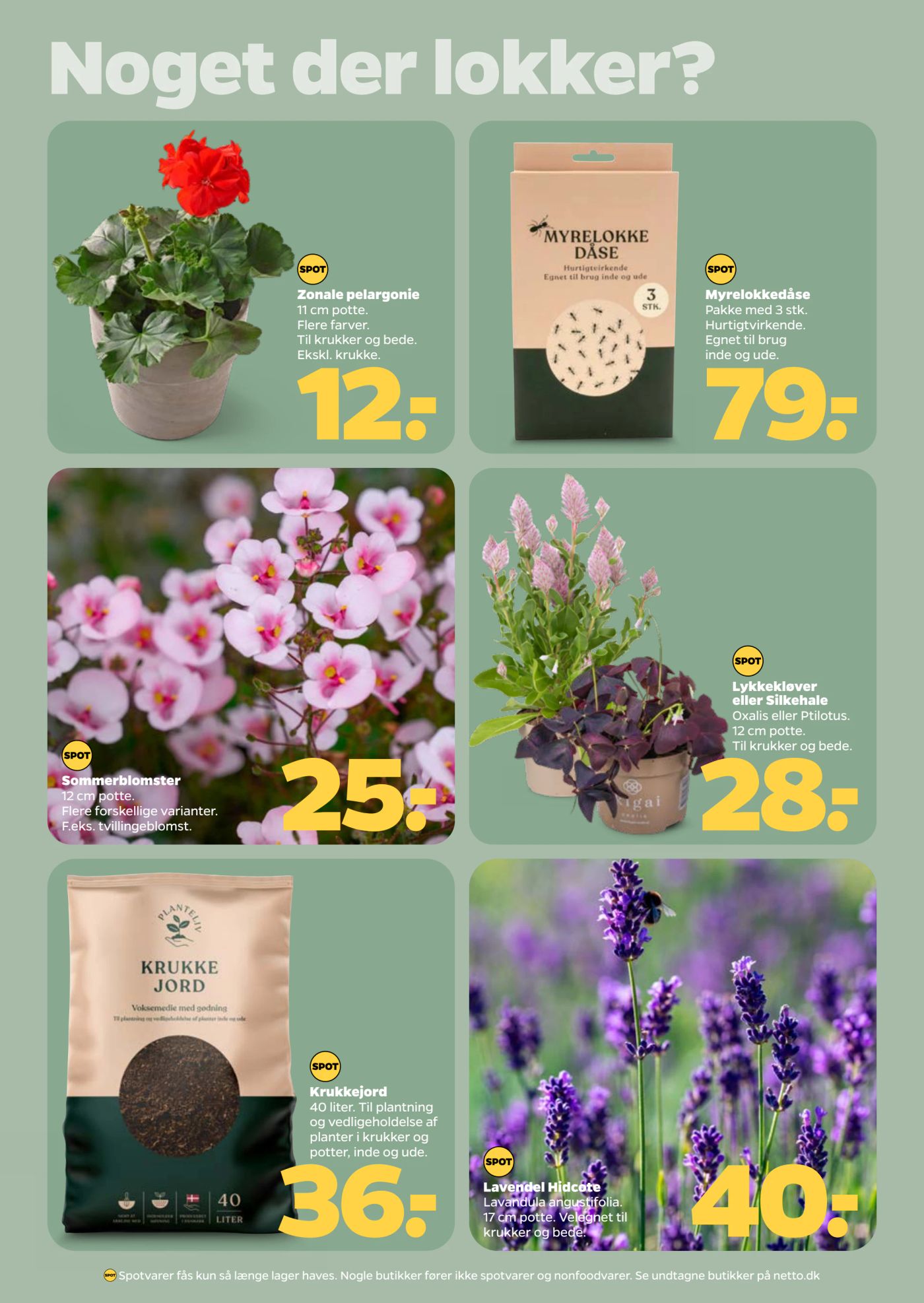 netto - Netto flyer til næste uge fra lørdag 16.05.2026 til fredag 22.05.2026 - page: 25