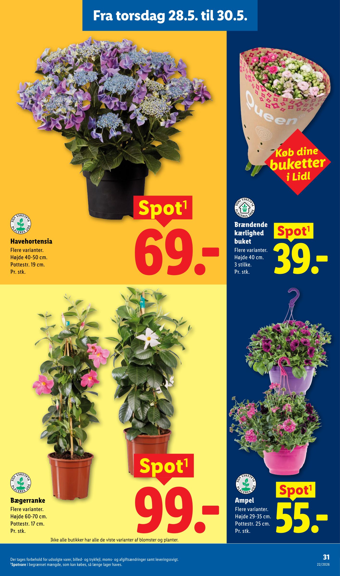 lidl - Lidl tilbudsavis for næste uge fra tirsdag, 26.05.2026 til lørdag, 30.05.2026 - page: 37