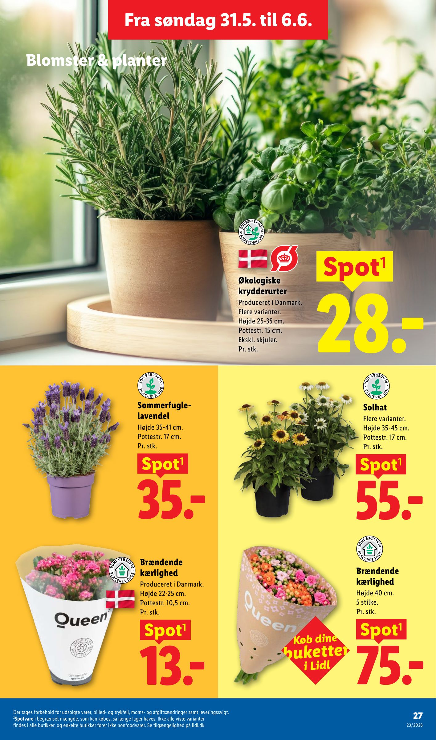 lidl - Aktuel Lidl tilbudsavis fra søndag, 31.05.2026 til lørdag, 06.06.2026 - page: 44