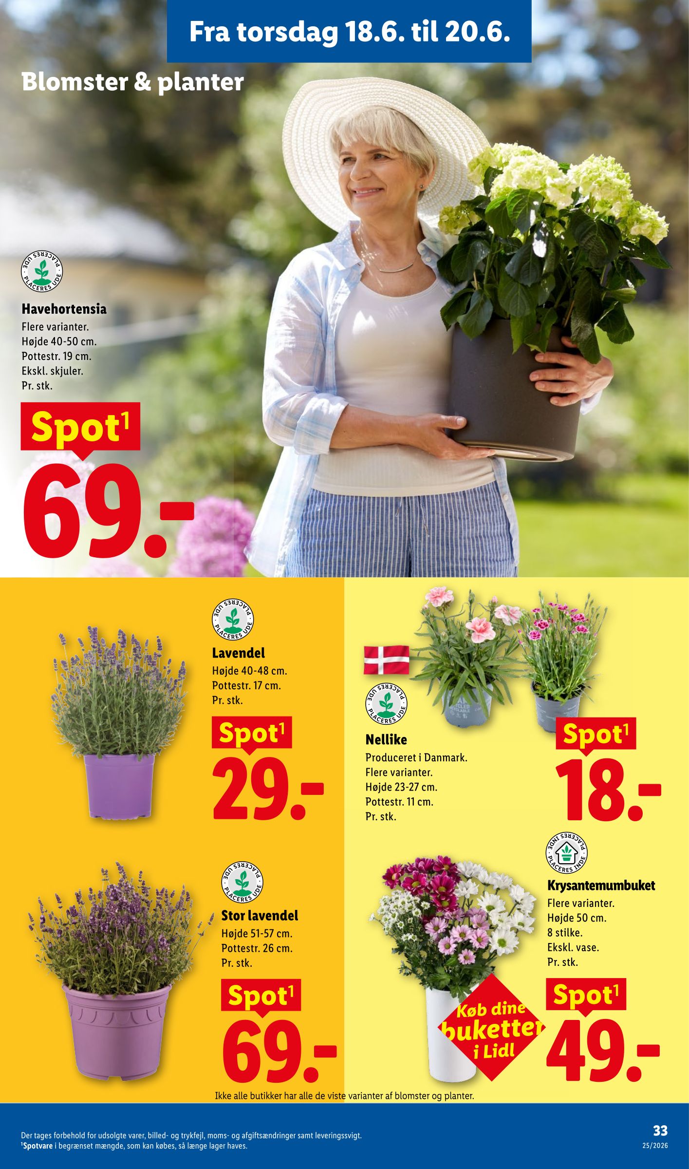 lidl - Lidl tilbudsavis for næste uge fra søndag, 14.06.2026 til lørdag, 20.06.2026 - page: 34