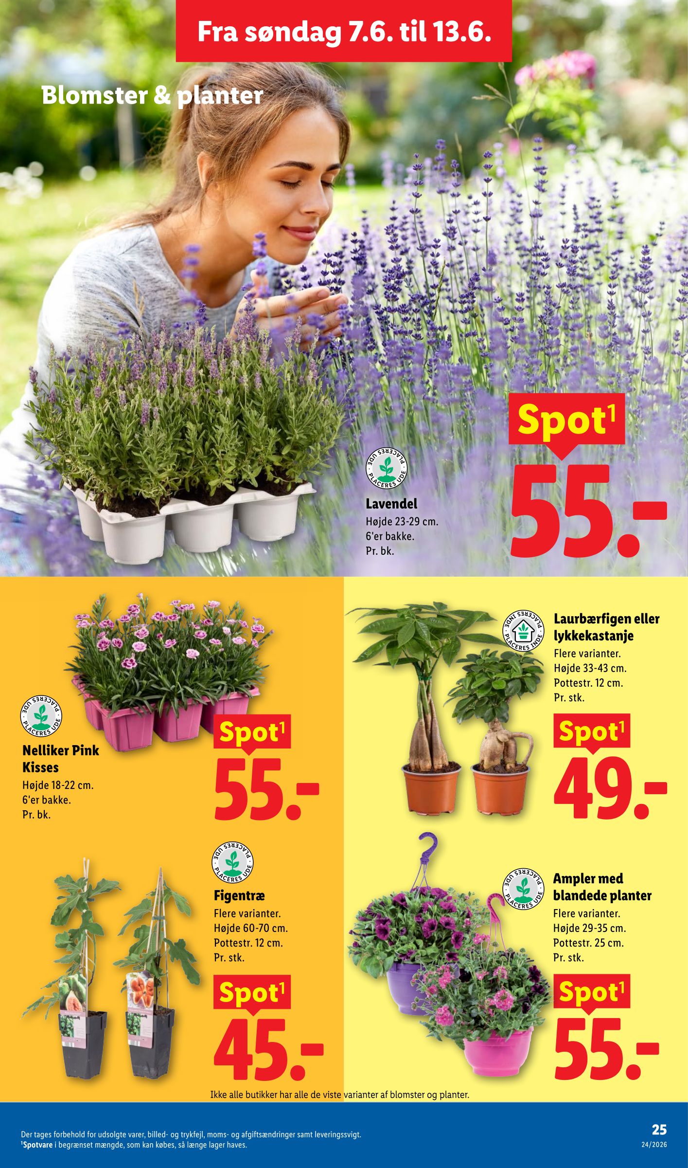 lidl - Aktuel Lidl tilbudsavis fra torsdag, 11.06.2026 til lørdag, 13.06.2026 - page: 44