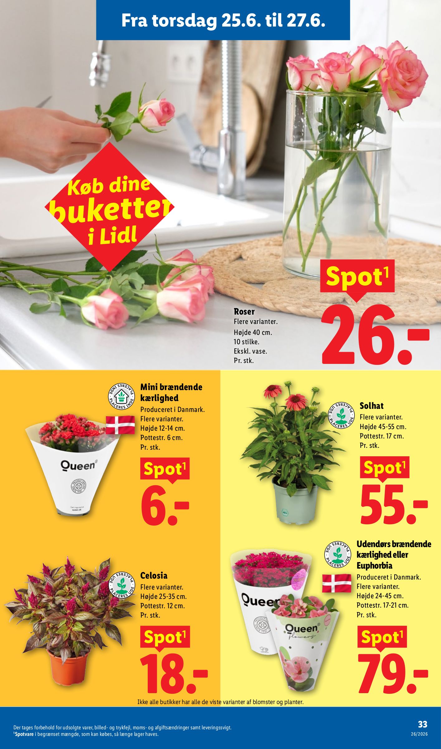 lidl - Aktuel Lidl - særtilbud tilbudsavis fra torsdag, 25.06.2026 til lørdag, 27.06.2026 - page: 14
