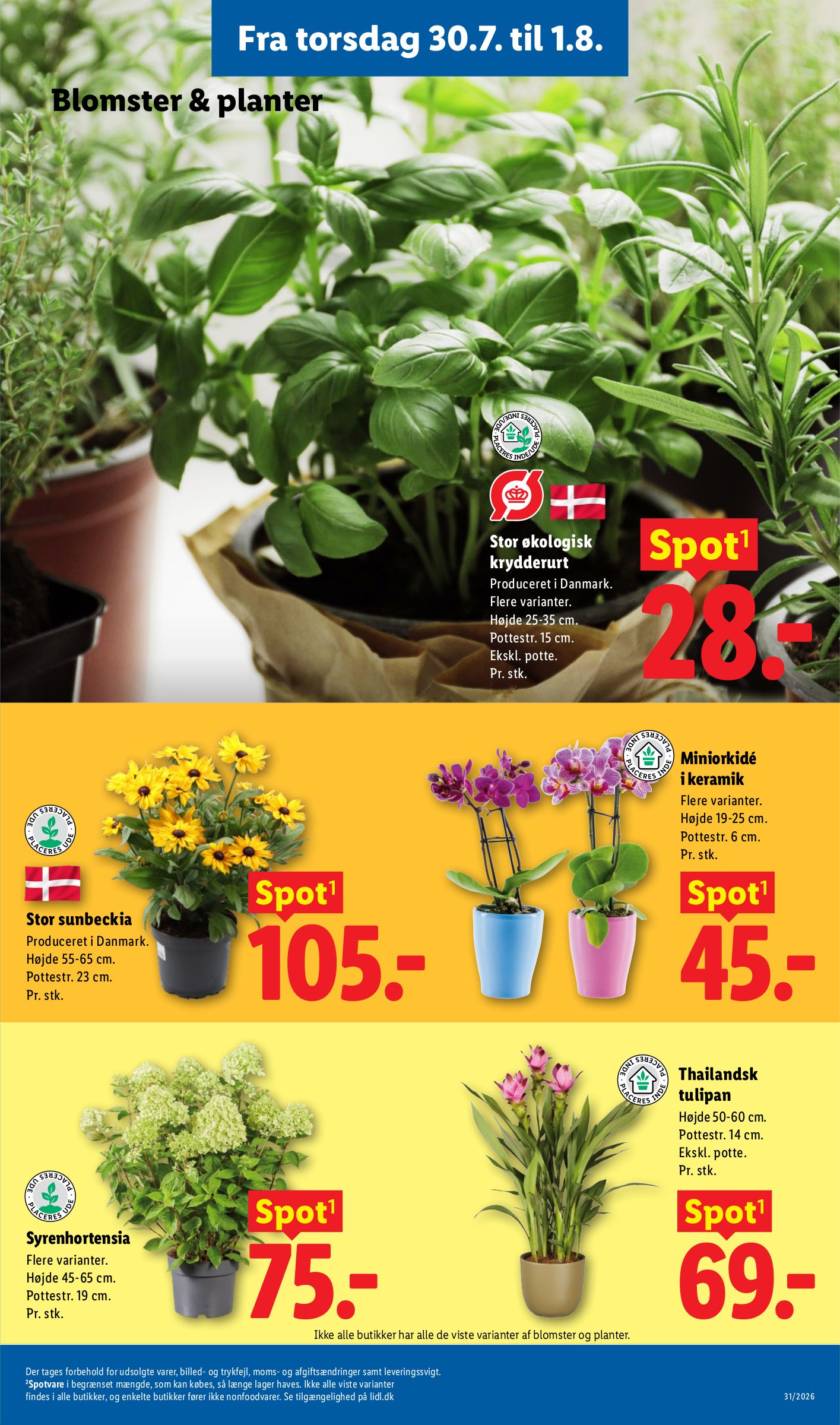 lidl - Lidl tilbudsavis for næste uge fra søndag, 26.07.2026 til lørdag, 01.08.2026 - page: 36