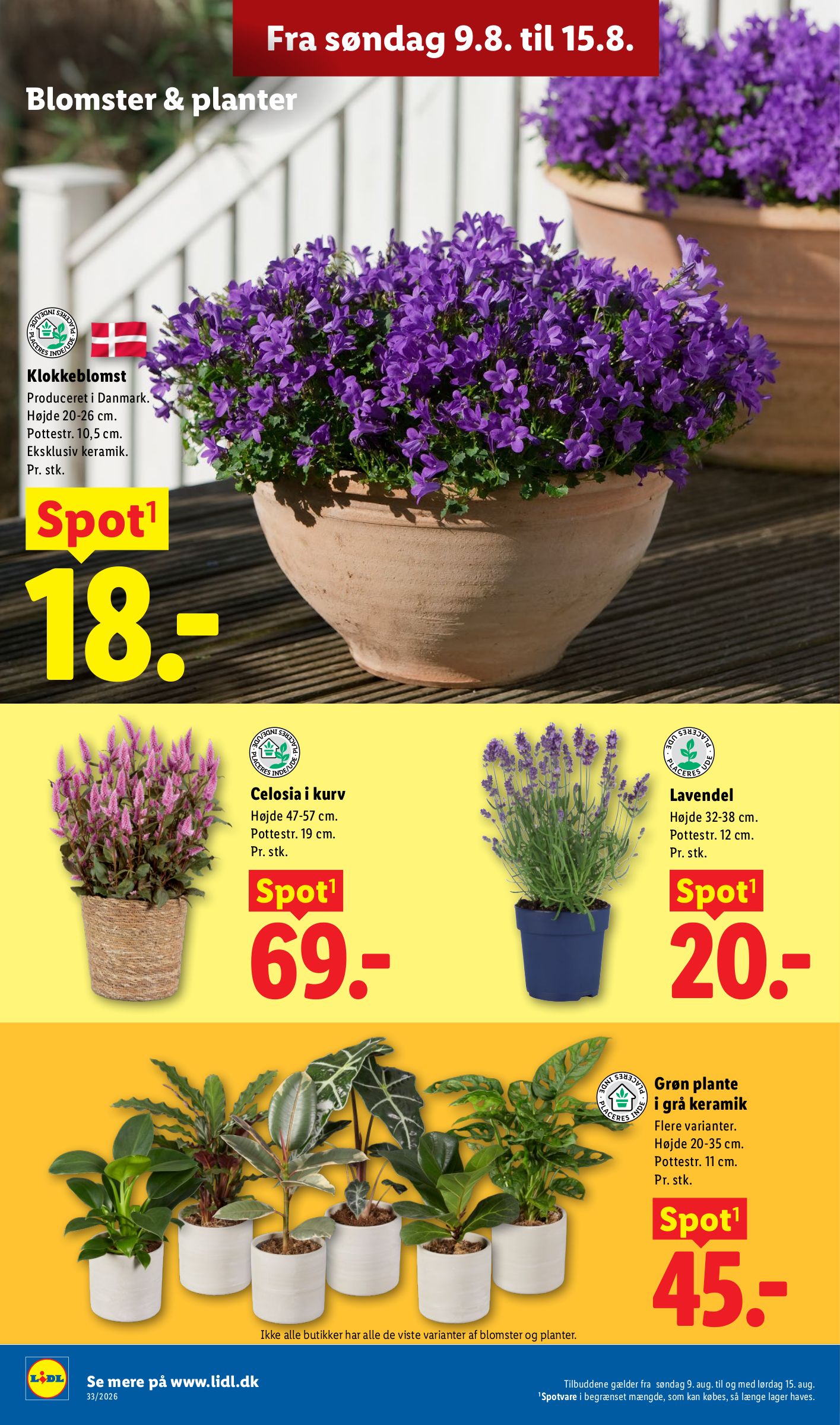 lidl - Lidl tilbudsavis for næste uge fra søndag, 09.08.2026 til lørdag, 15.08.2026 - page: 33