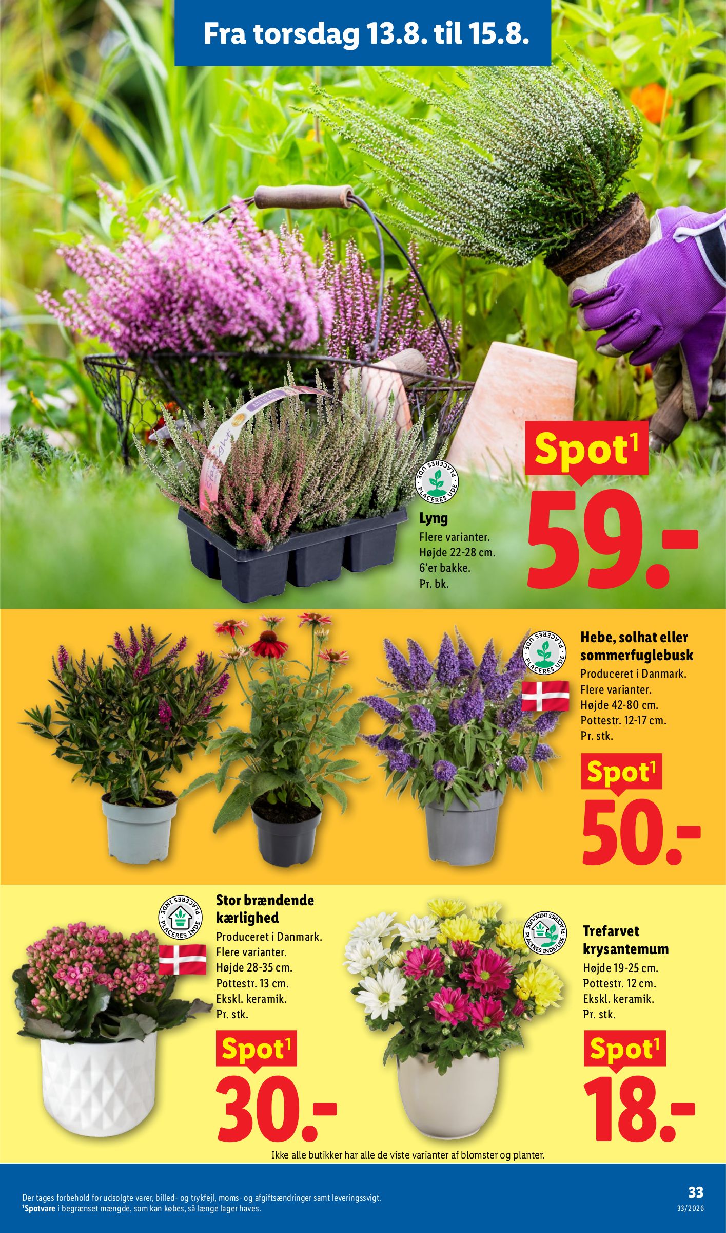 lidl - Lidl tilbudsavis for næste uge fra søndag, 09.08.2026 til lørdag, 15.08.2026 - page: 34