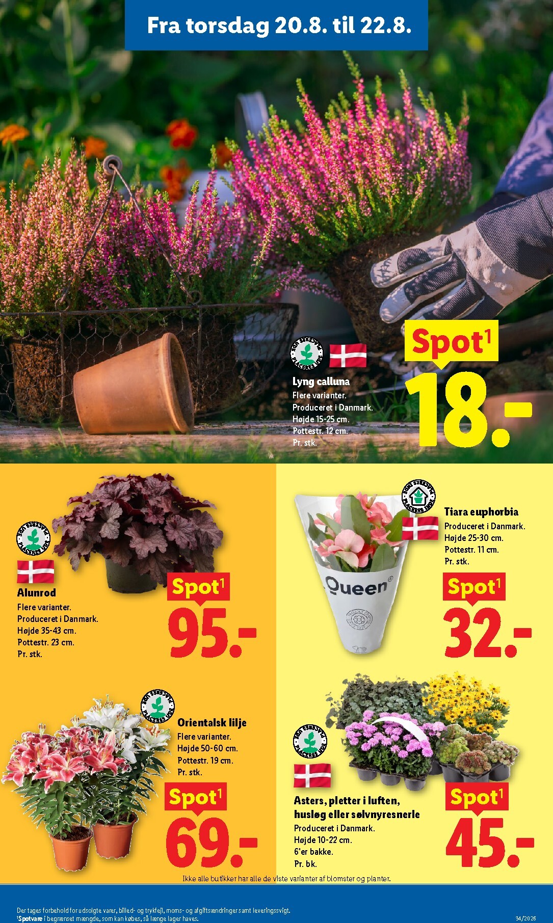 lidl - Lidl tilbudsavis for næste uge fra søndag, 16.08.2026 til lørdag, 22.08.2026 - page: 34