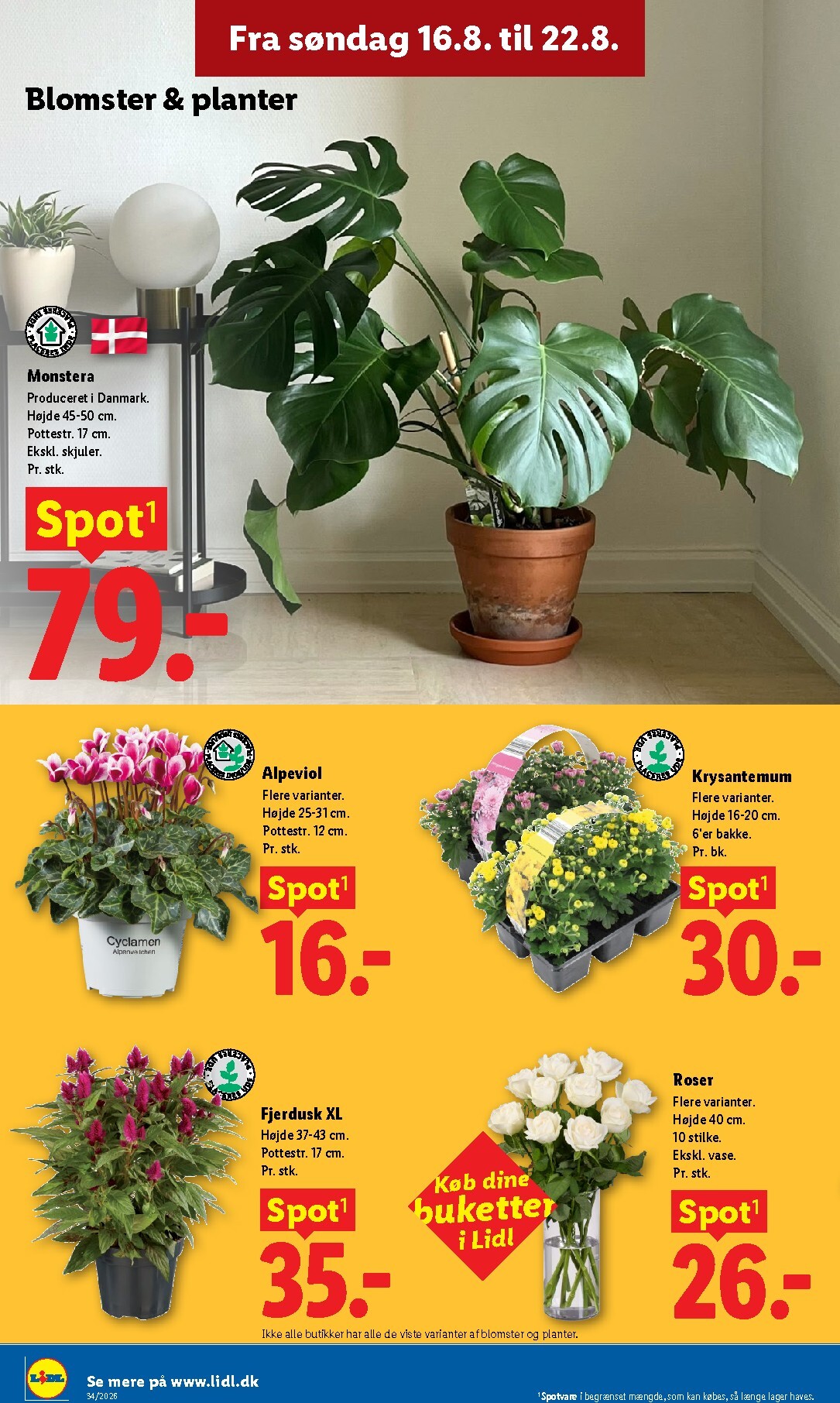 lidl - Lidl tilbudsavis for næste uge fra søndag, 16.08.2026 til lørdag, 22.08.2026 - page: 33