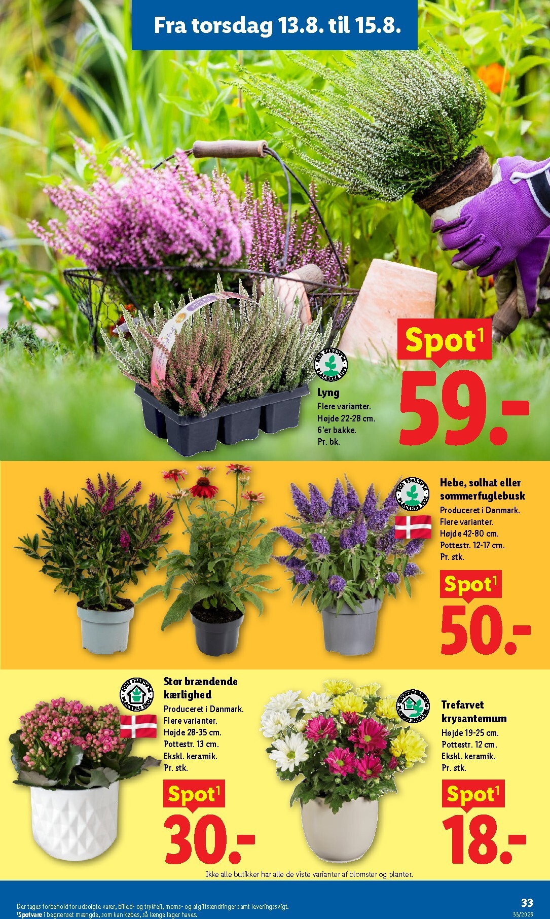 lidl - Aktuel Lidl - Weekendtilbud tilbudsavis fra torsdag, 13.08.2026 til lørdag, 15.08.2026 - page: 6