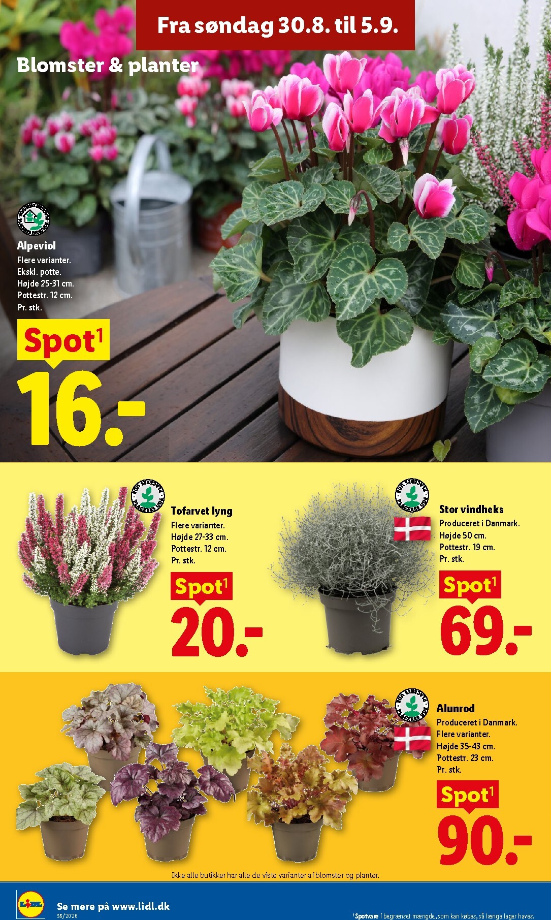 lidl - Lidl tilbudsavis for næste uge fra søndag, 30.08.2026 til lørdag, 05.09.2026 - page: 32