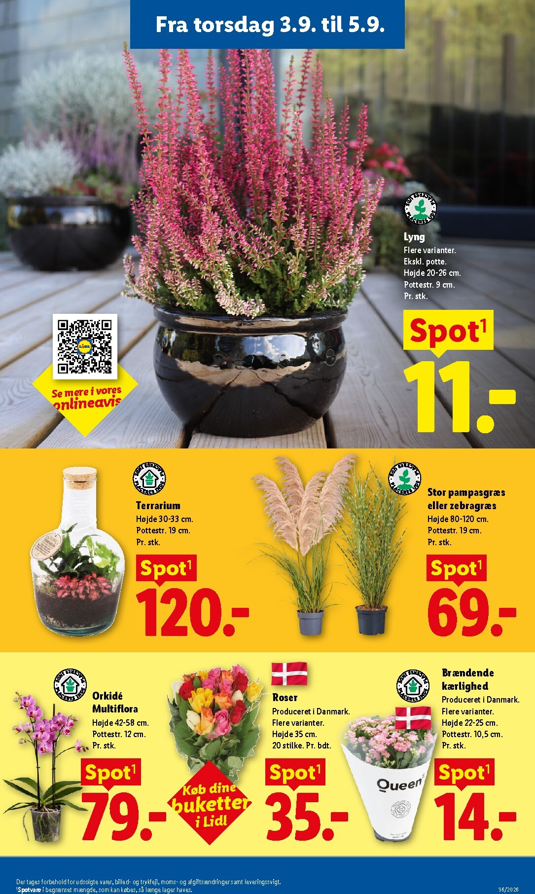 lidl - Lidl tilbudsavis for næste uge fra søndag, 30.08.2026 til lørdag, 05.09.2026 - page: 33