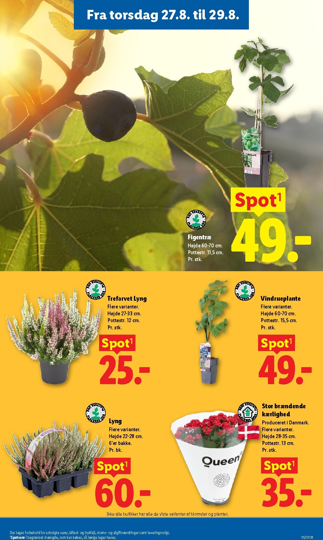 lidl - Ny Lidl - Weekendtilbud tilbudsavis fra torsdag, 27.08.2026 til lørdag, 29.08.2026 - page: 7
