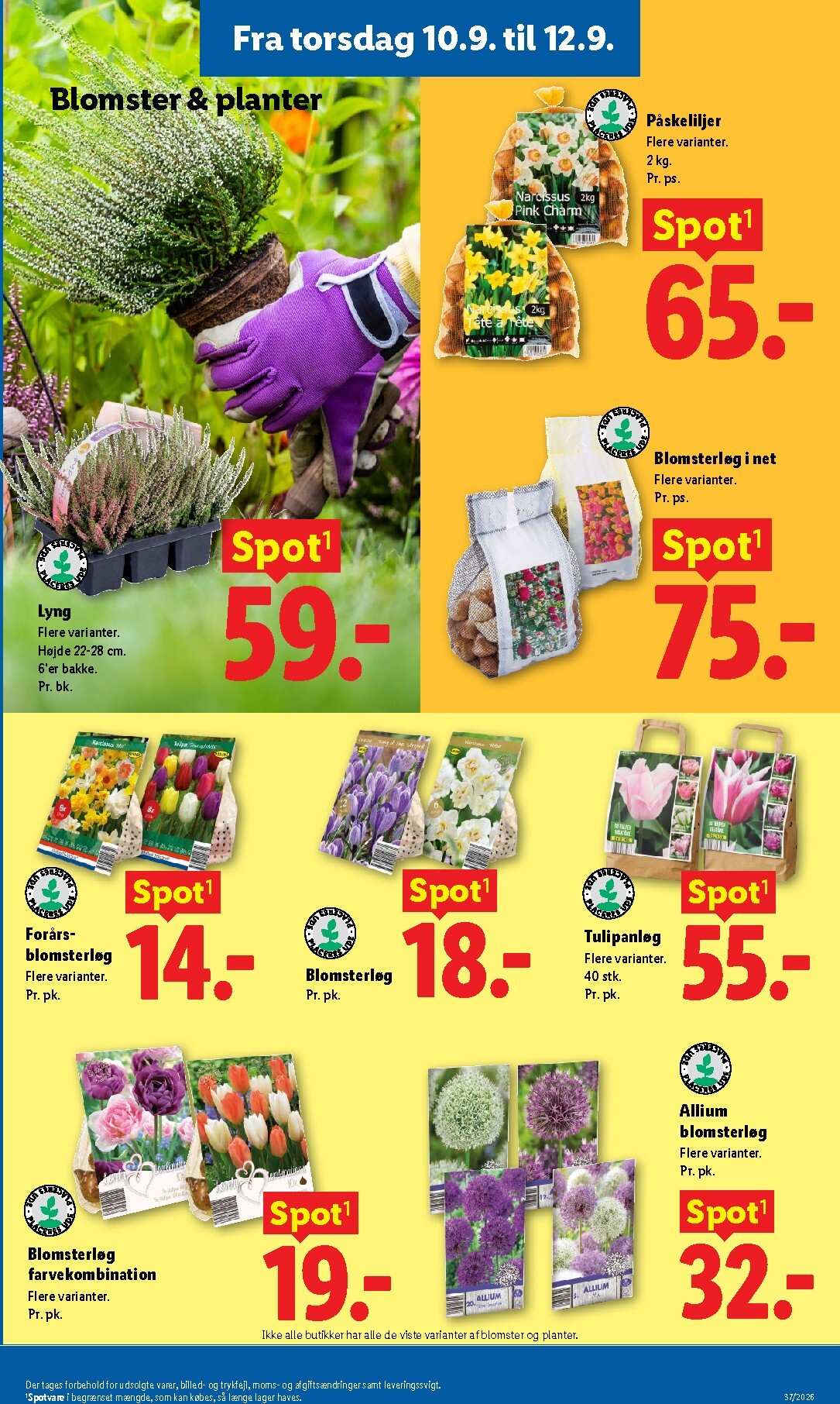 lidl - Lidl tilbudsavis for næste uge fra søndag, 06.09.2026 til lørdag, 12.09.2026 - page: 32