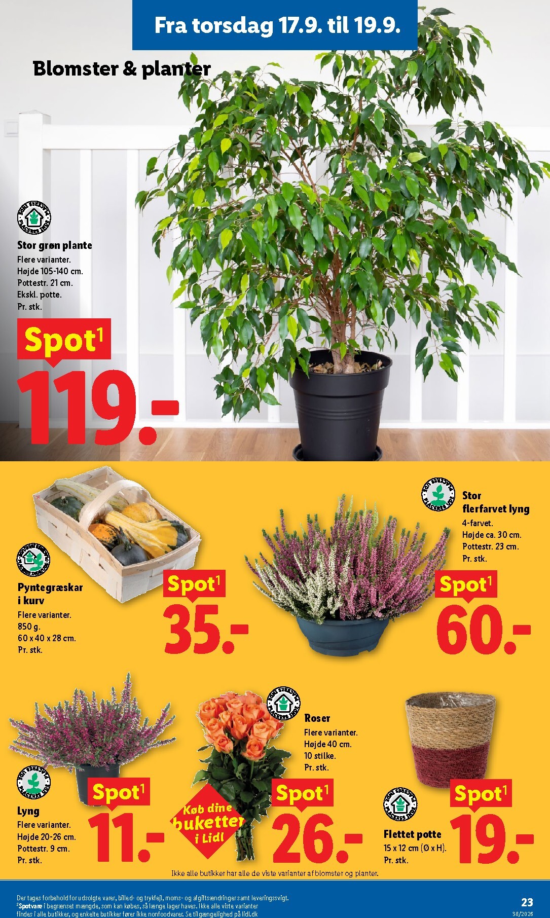 lidl - Lidl - Ugens Nonfood tilbudsavis for næste uge fra søndag, 13.09.2026 til lørdag, 19.09.2026 - page: 11