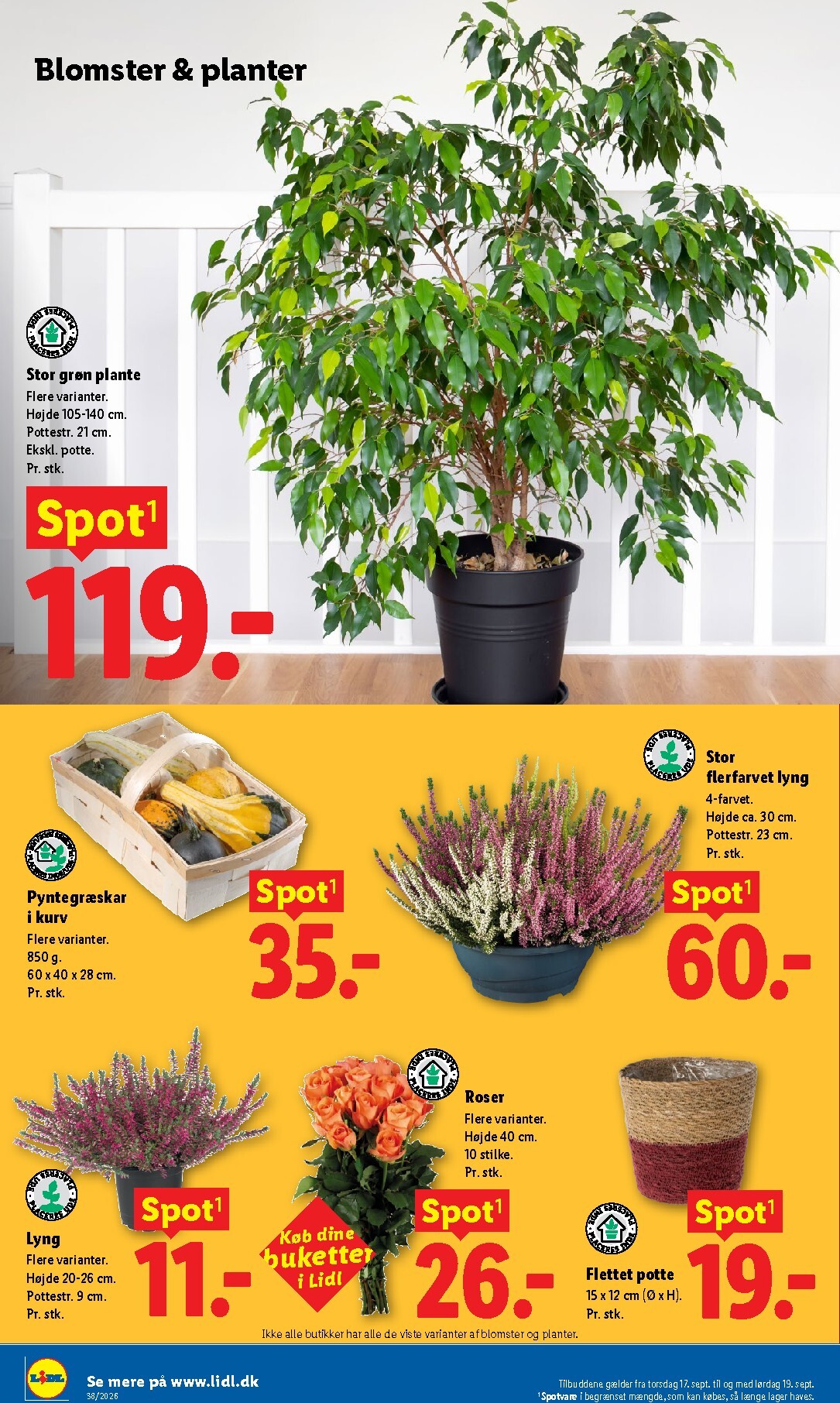 lidl - Lidl tilbudsavis for næste uge fra søndag, 13.09.2026 til lørdag, 19.09.2026 - page: 32