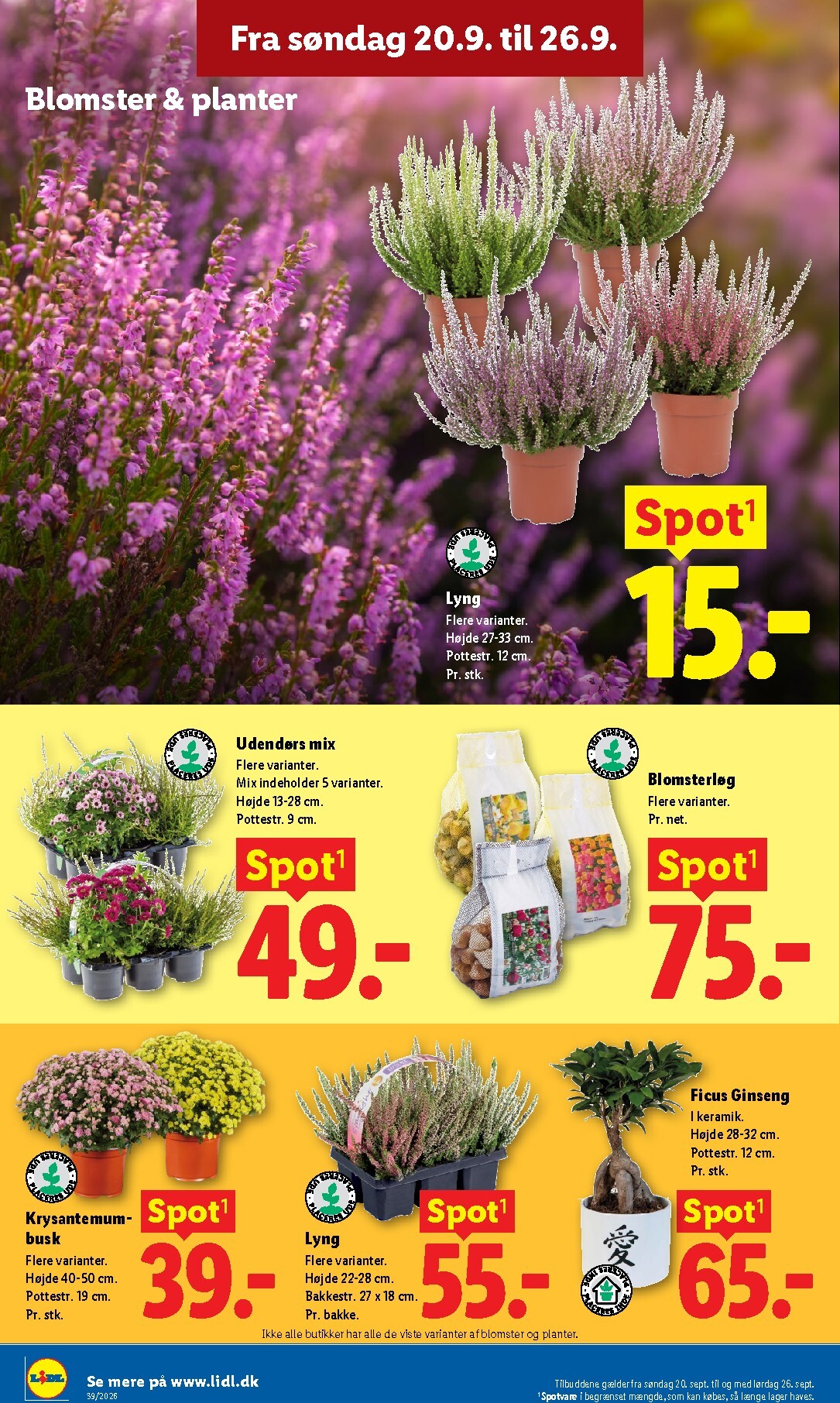 lidl - Lidl tilbudsavis for næste uge fra søndag, 20.09.2026 til lørdag, 26.09.2026 - page: 35