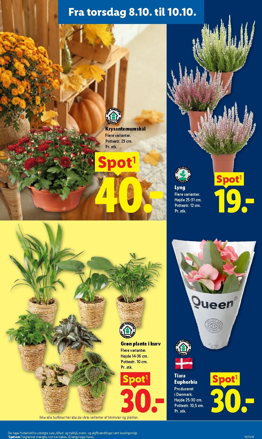 lidl - Lidl tilbudsavis for næste uge fra søndag, 04.10.2026 til lørdag, 10.10.2026 - page: 33