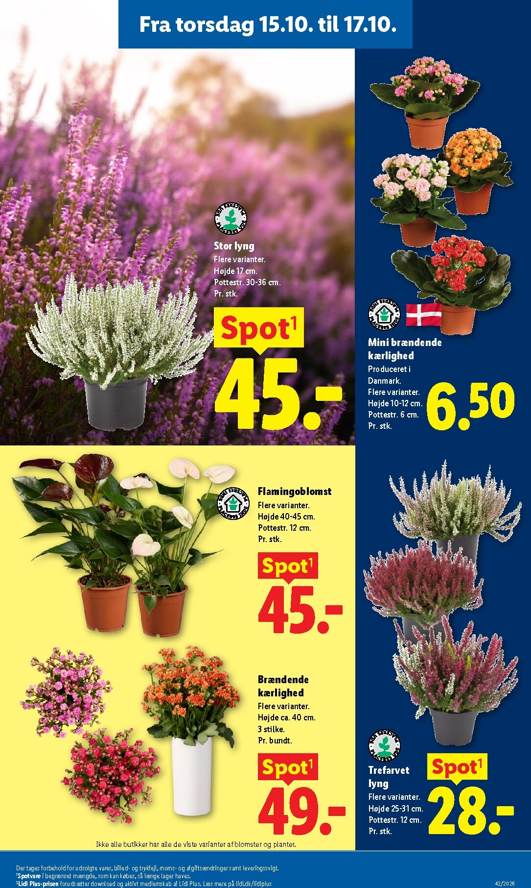 lidl - Lidl tilbudsavis for næste uge fra søndag, 11.10.2026 til lørdag, 17.10.2026 - page: 35