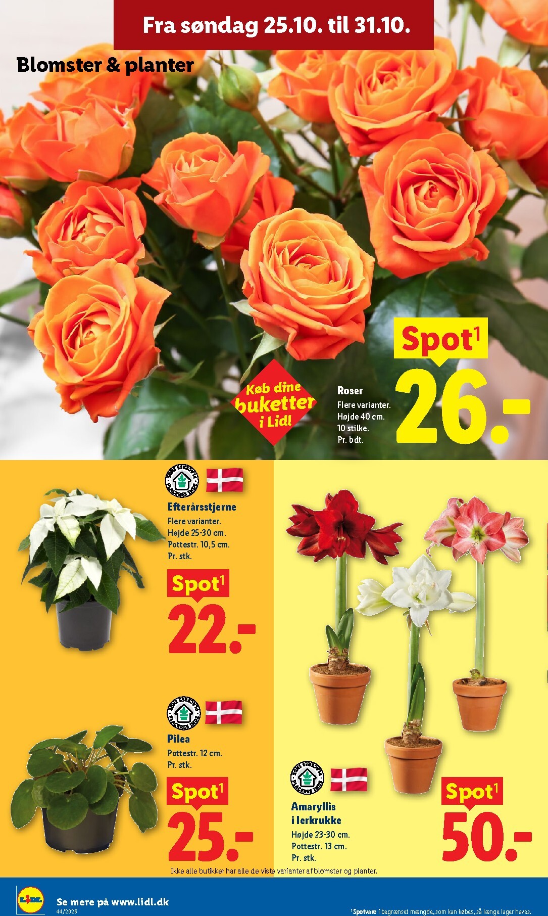 lidl - Lidl tilbudsavis for næste uge fra søndag, 25.10.2026 til lørdag, 31.10.2026 - page: 31
