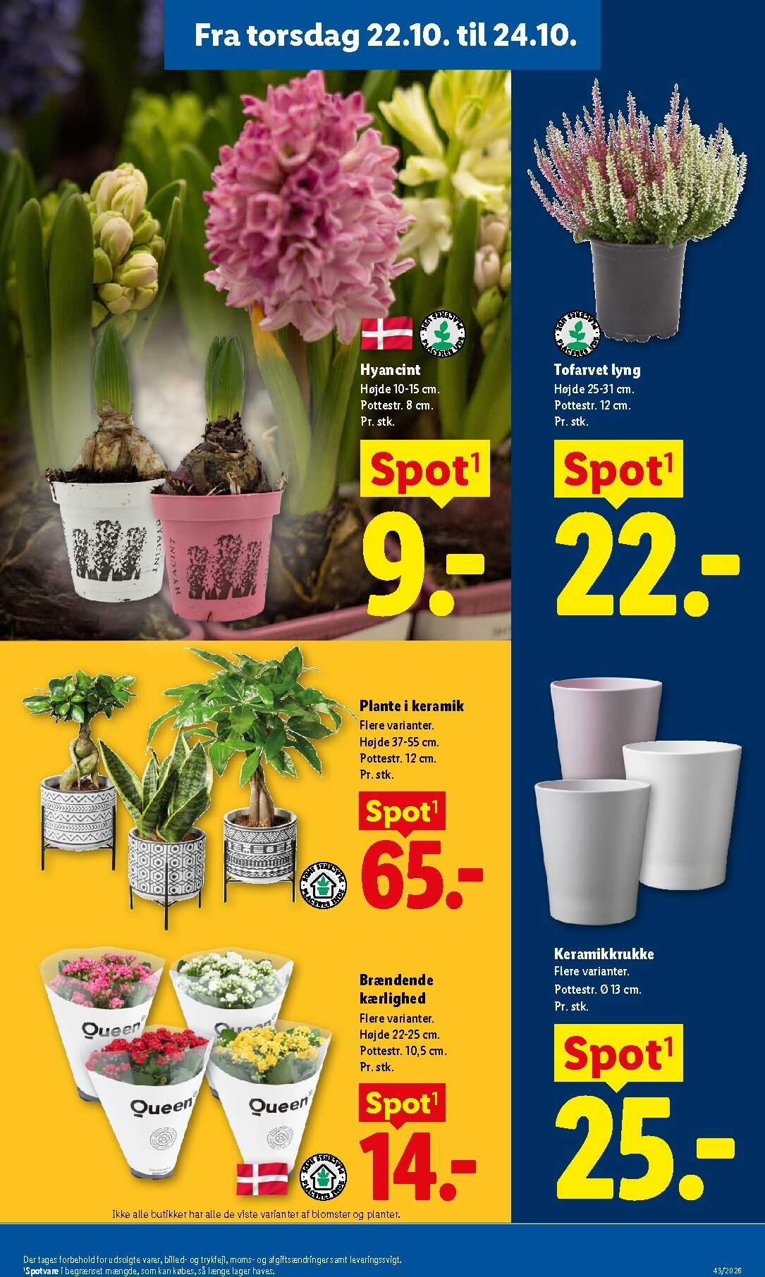lidl - Ny Lidl - Weekendtilbud tilbudsavis fra torsdag, 22.10.2026 til lørdag, 24.10.2026 - page: 12